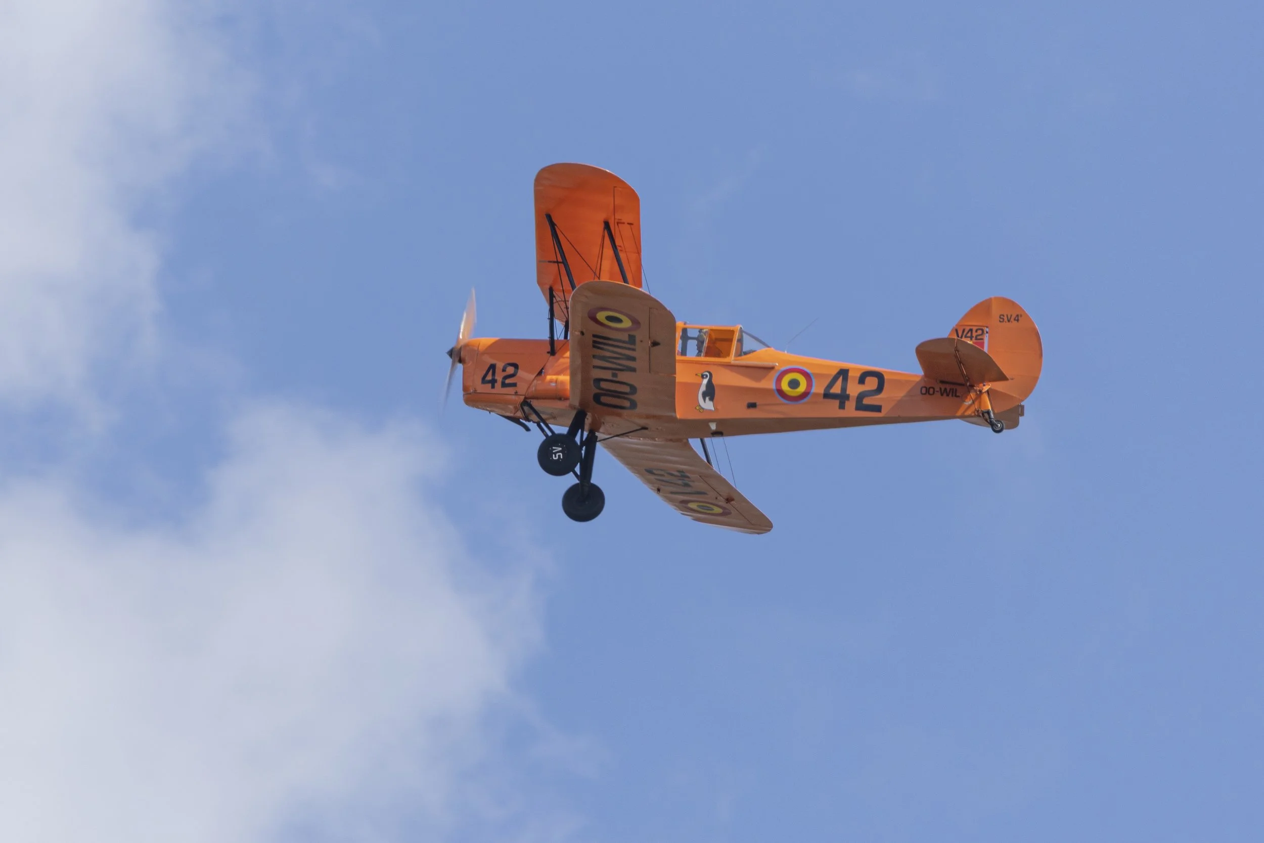 Stampe_Forever_053.jpg