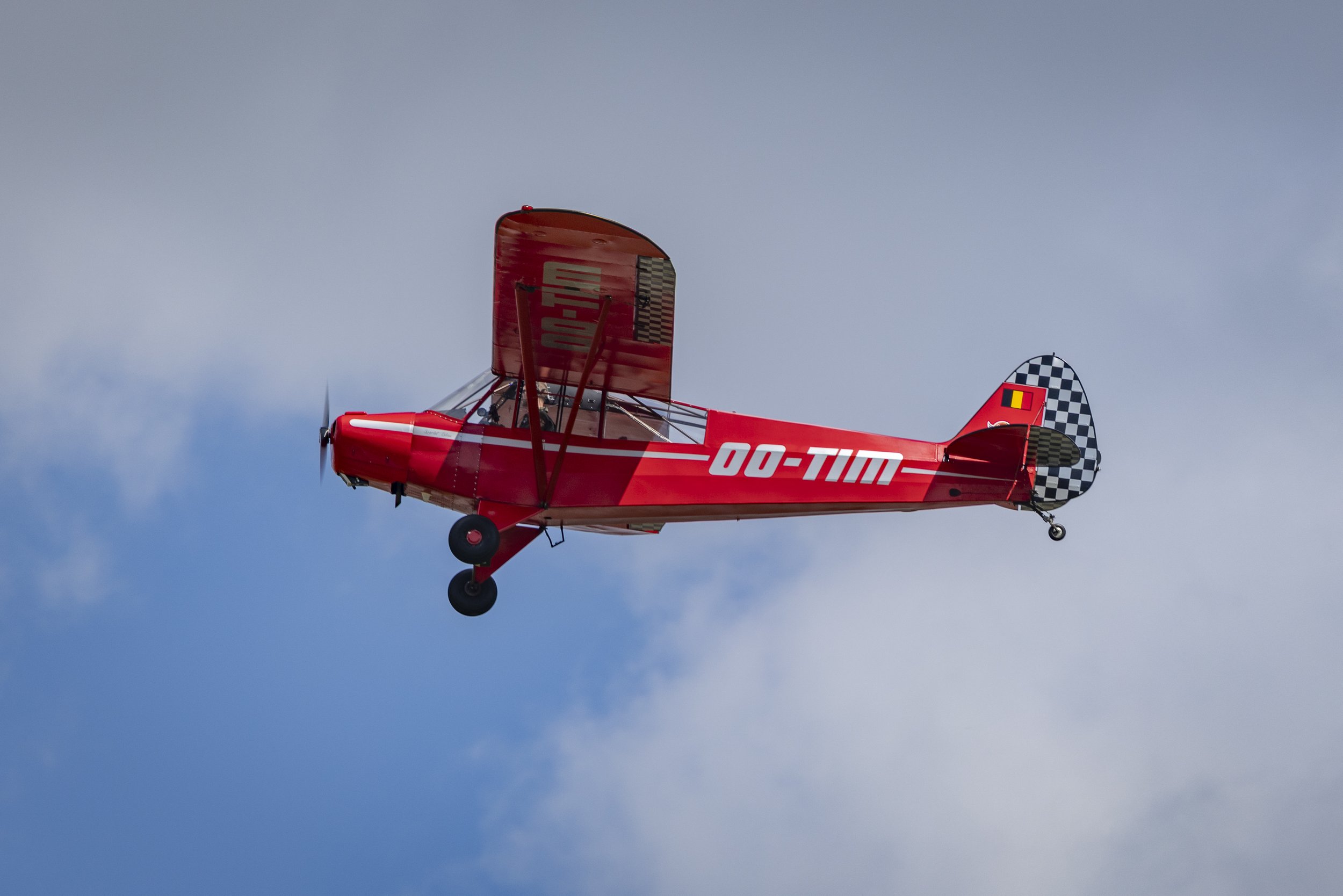 Stampe_Forever_083.jpg
