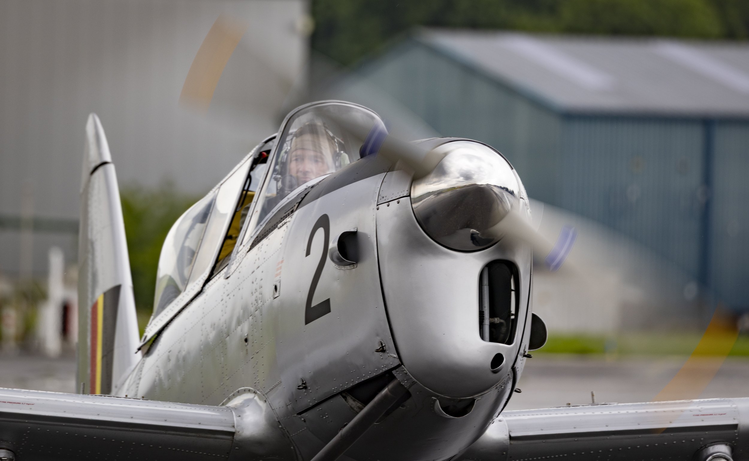 Stampe_Forever_169.jpg