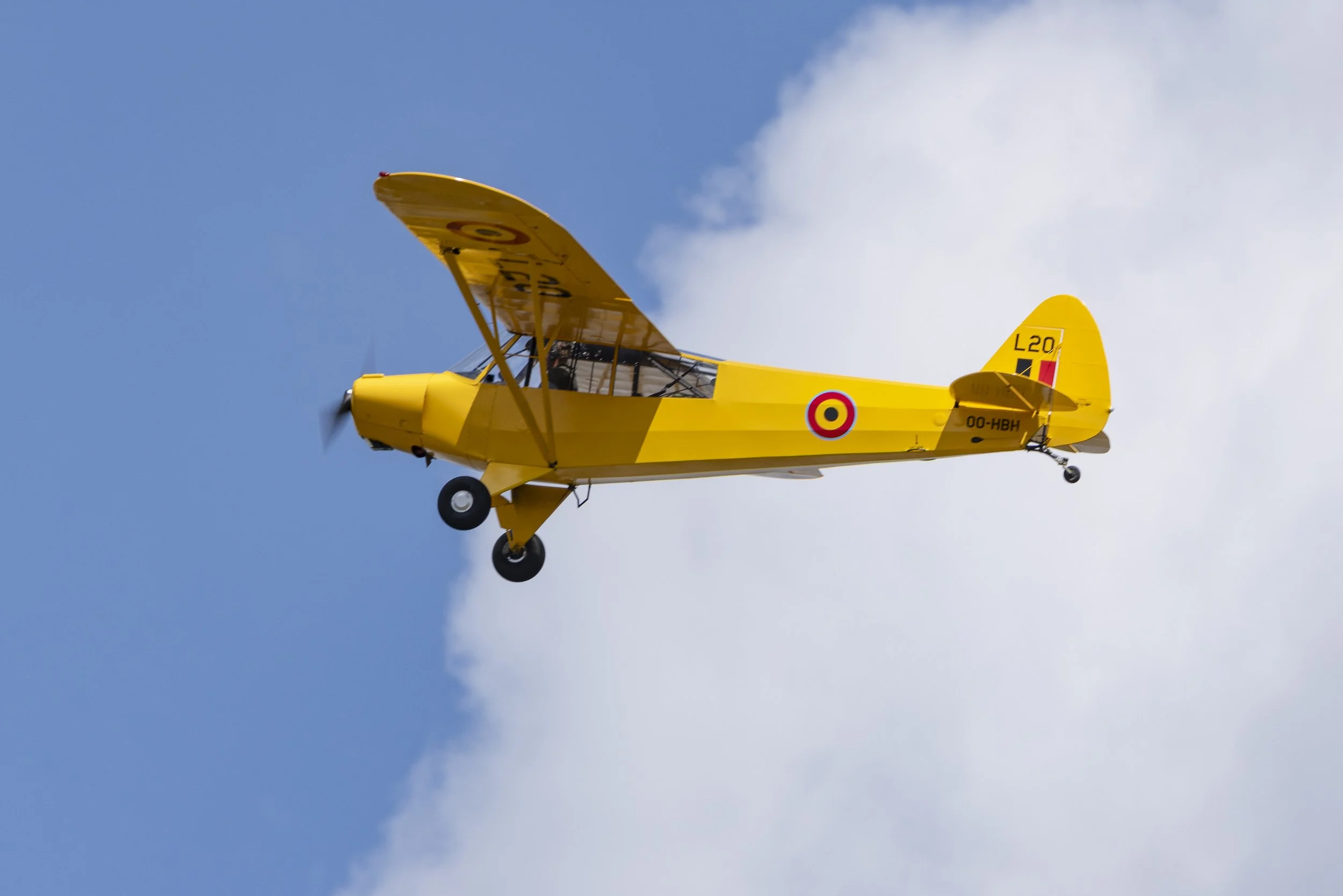 Stampe_Forever_085.jpg
