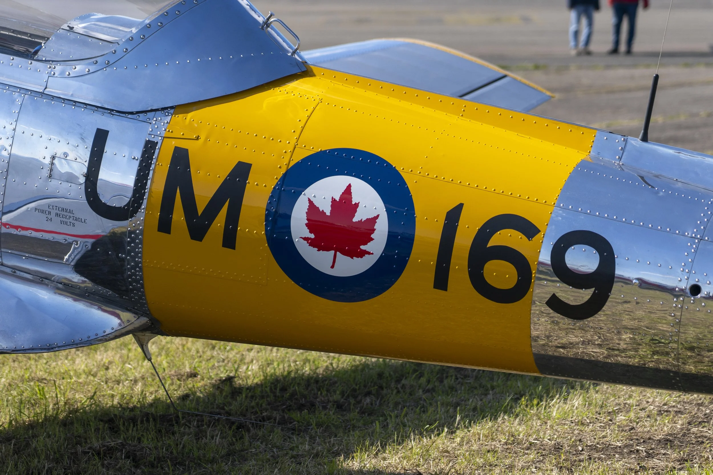 Stampe_Forever_021.jpg