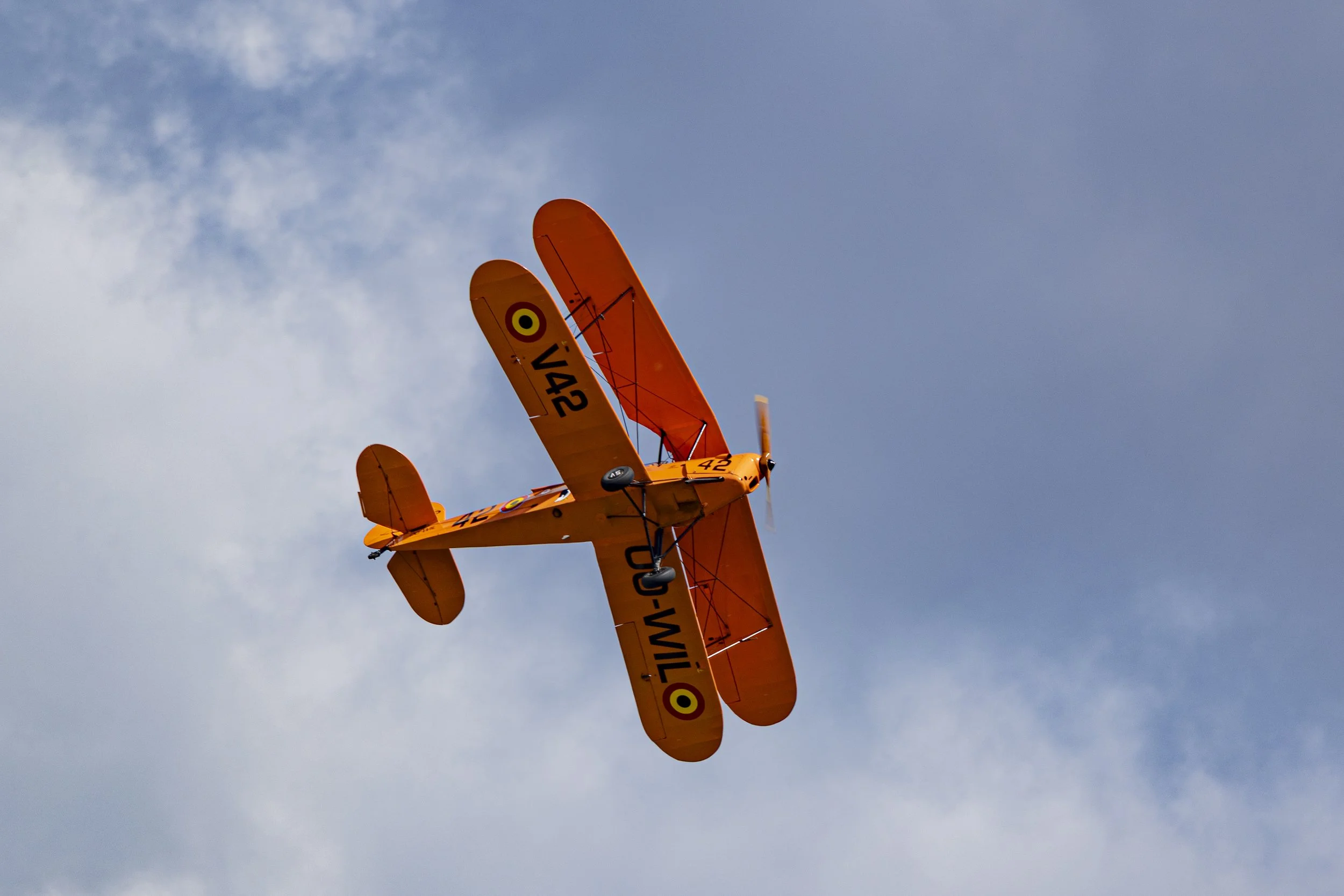 Stampe_Forever_054.jpg