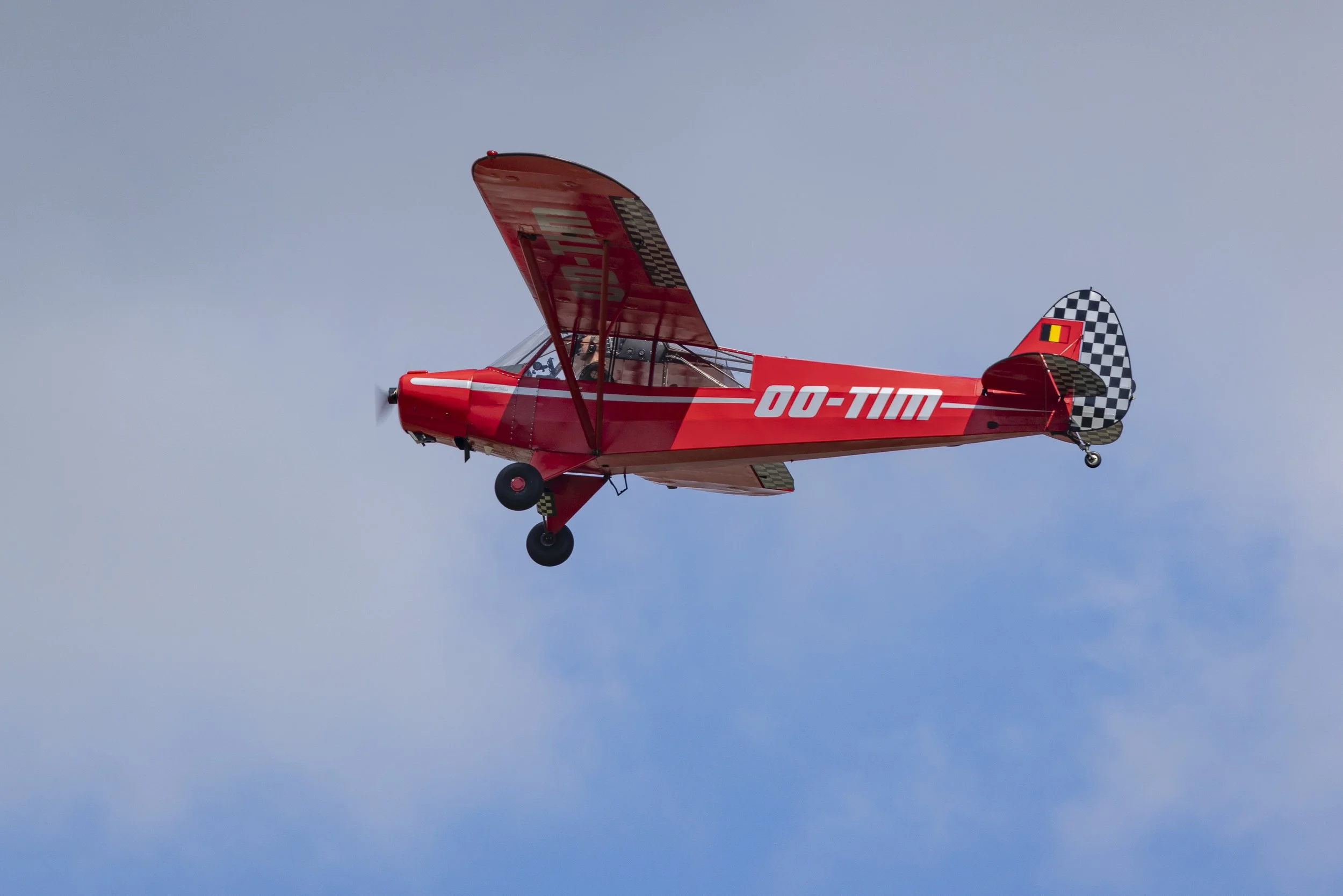 Stampe_Forever_084.jpg