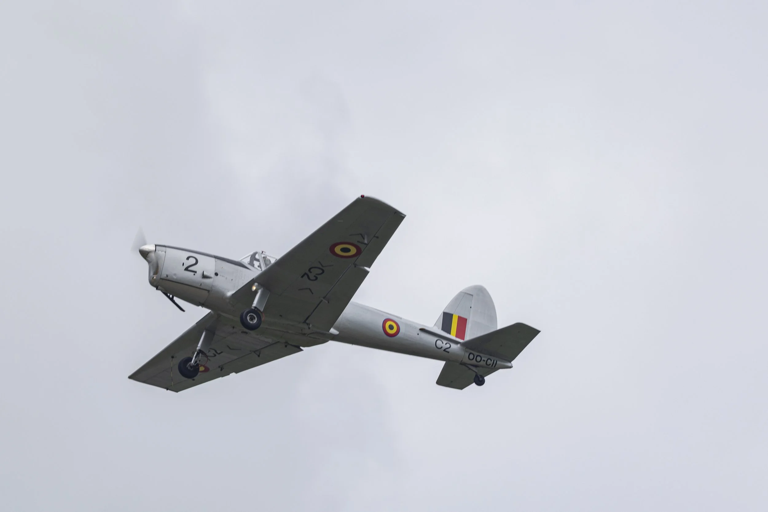 Stampe_Forever_157.jpg