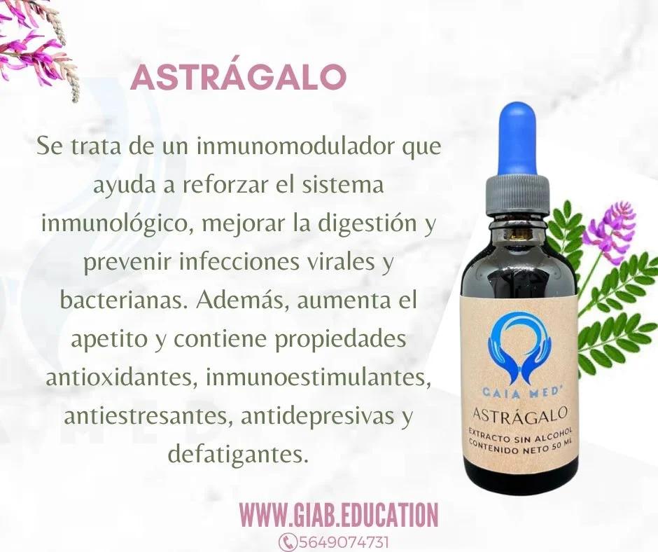 ASTRÁGALO.jpg