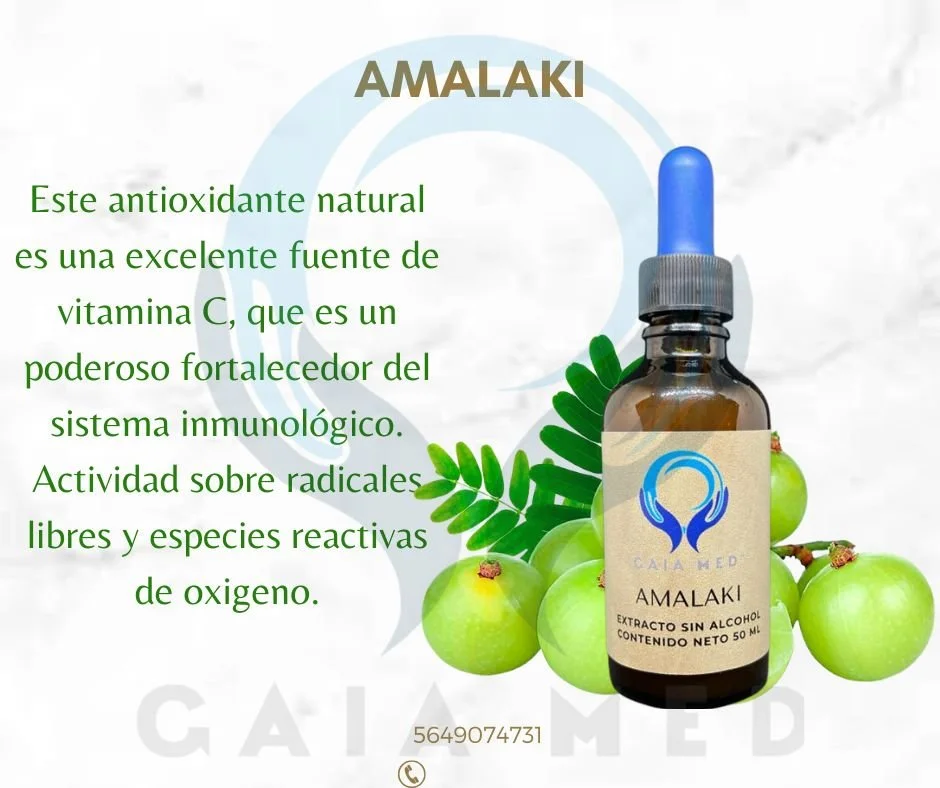 AMALAKI.jpg