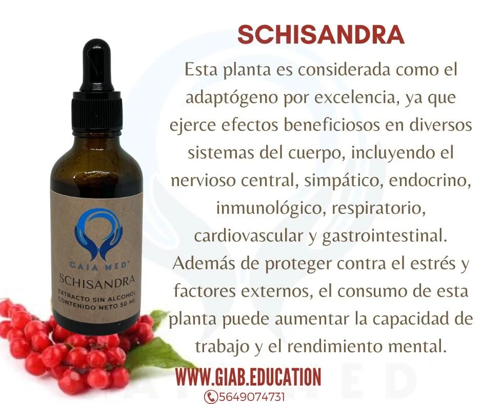 SCHISANDRA.jpg