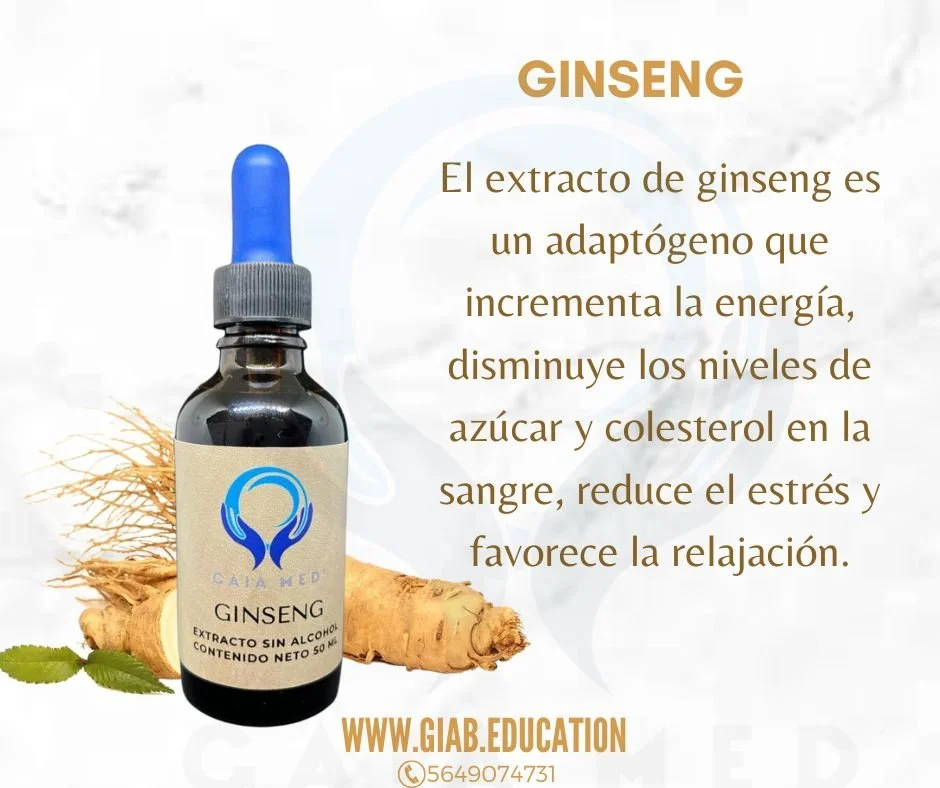 GINSENG.jpg