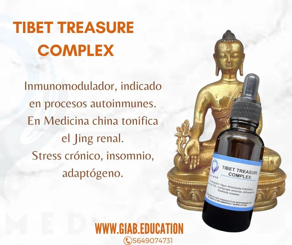 BUDA TIBET TREASURE COMPLEX1.jpg