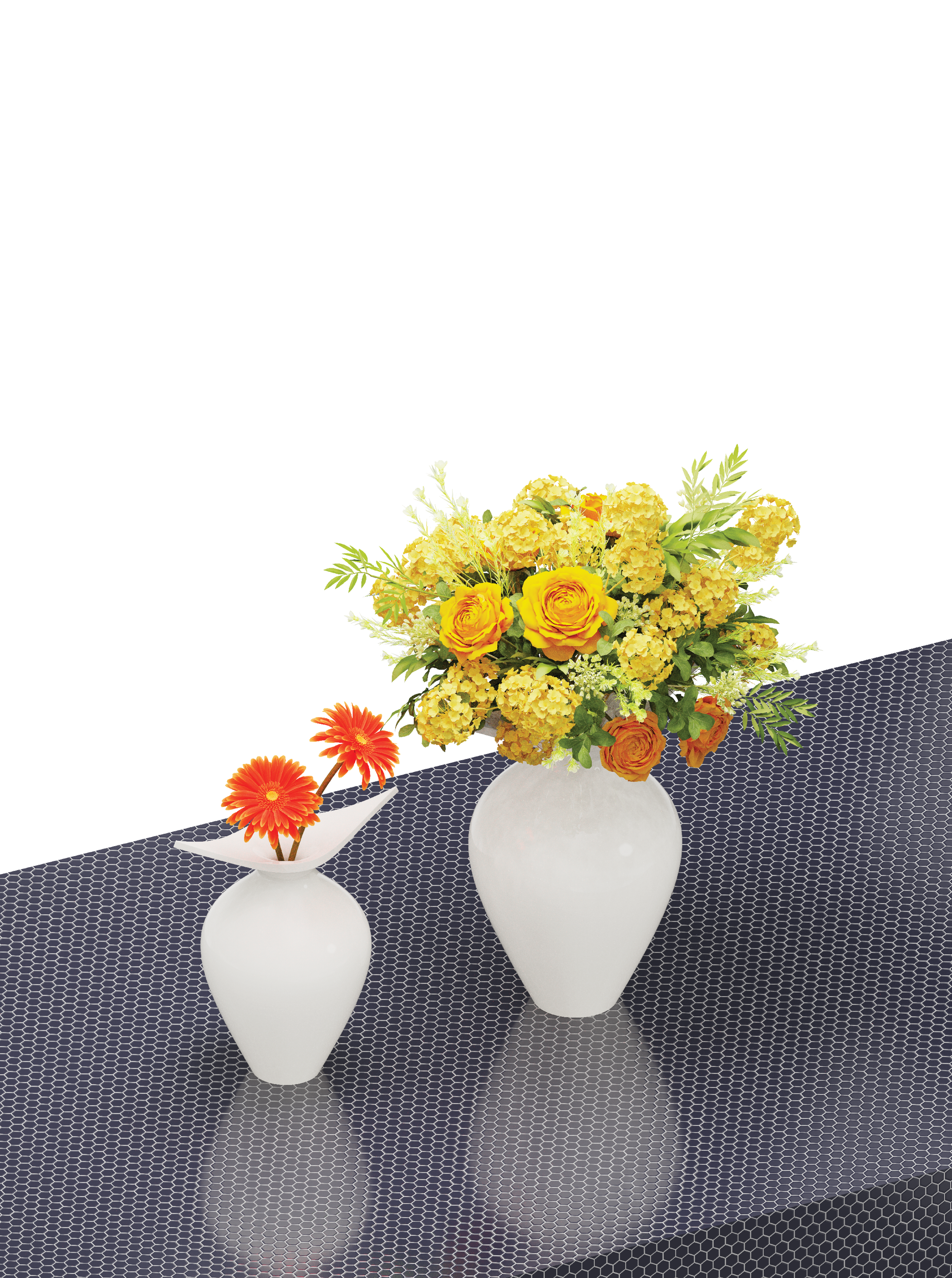 Egon Lab x Rosenthal3.png