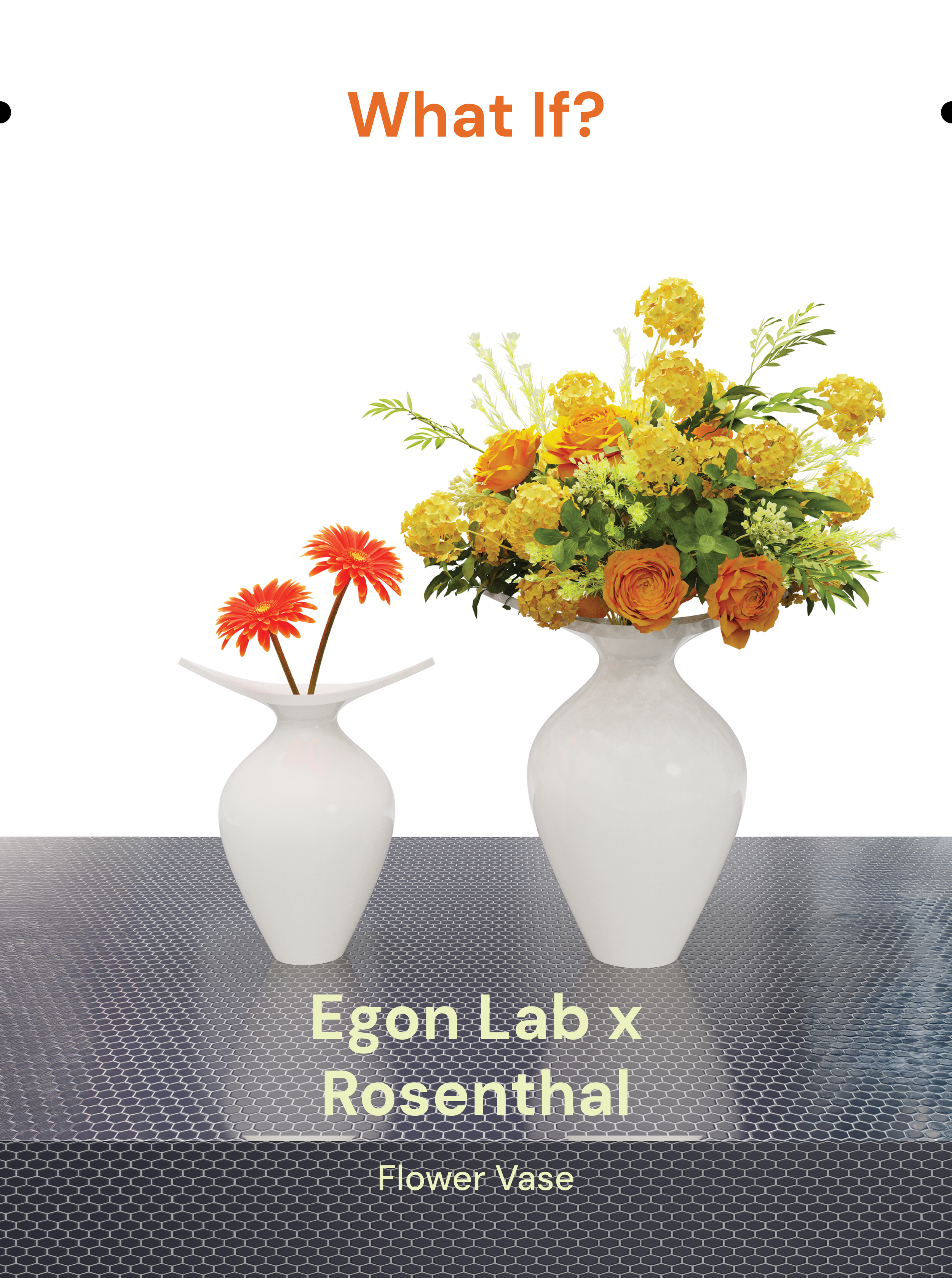 Egon Lab x Rosenthal.png