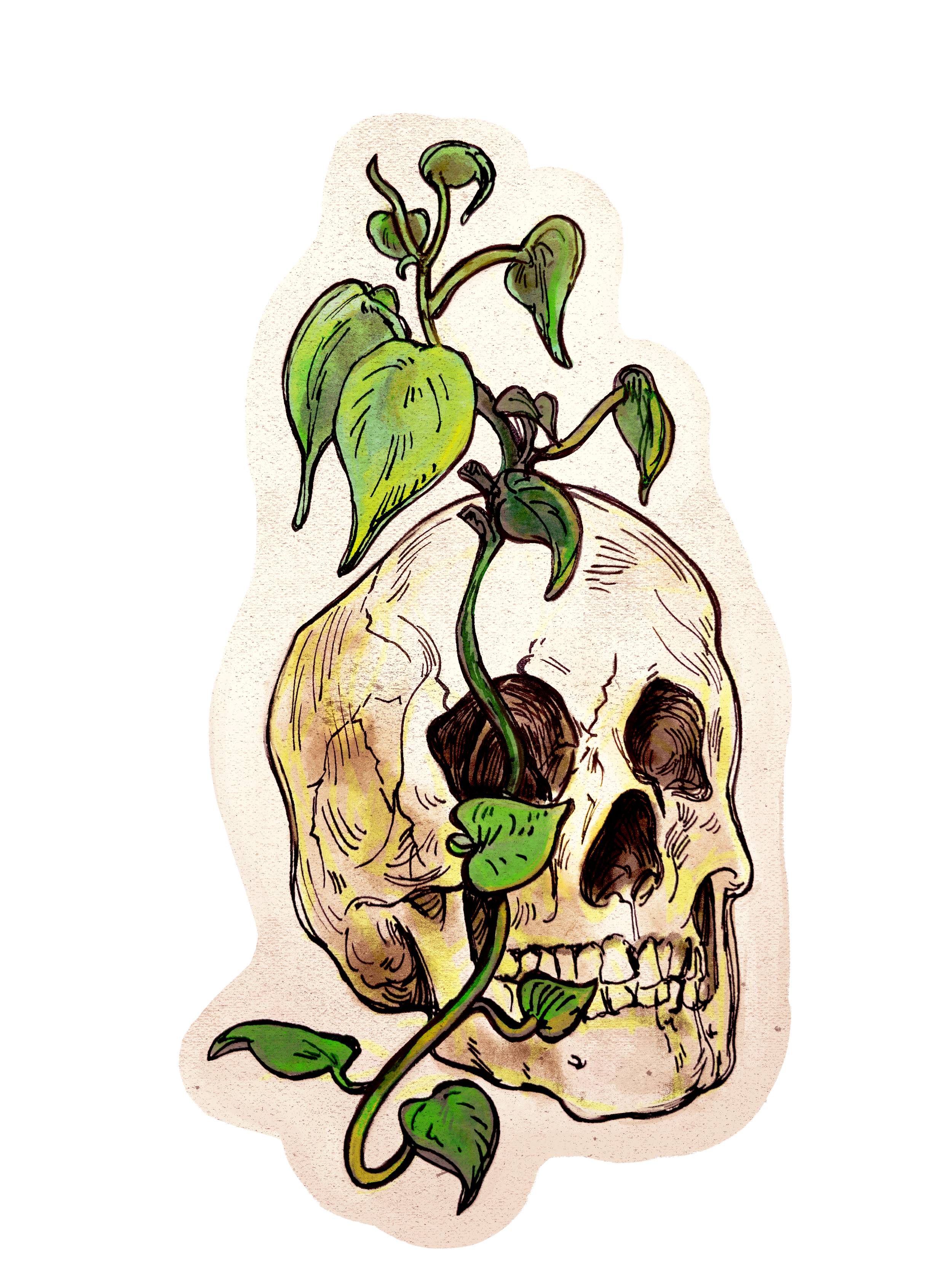 skull plant.png