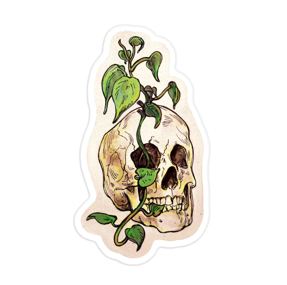 Screenshot 2026-06-02 at 10.43.27 AM.png