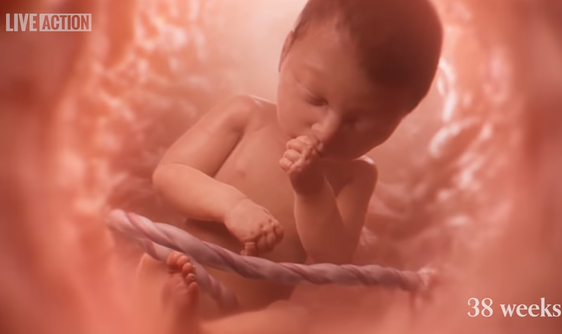 When does life begin…?