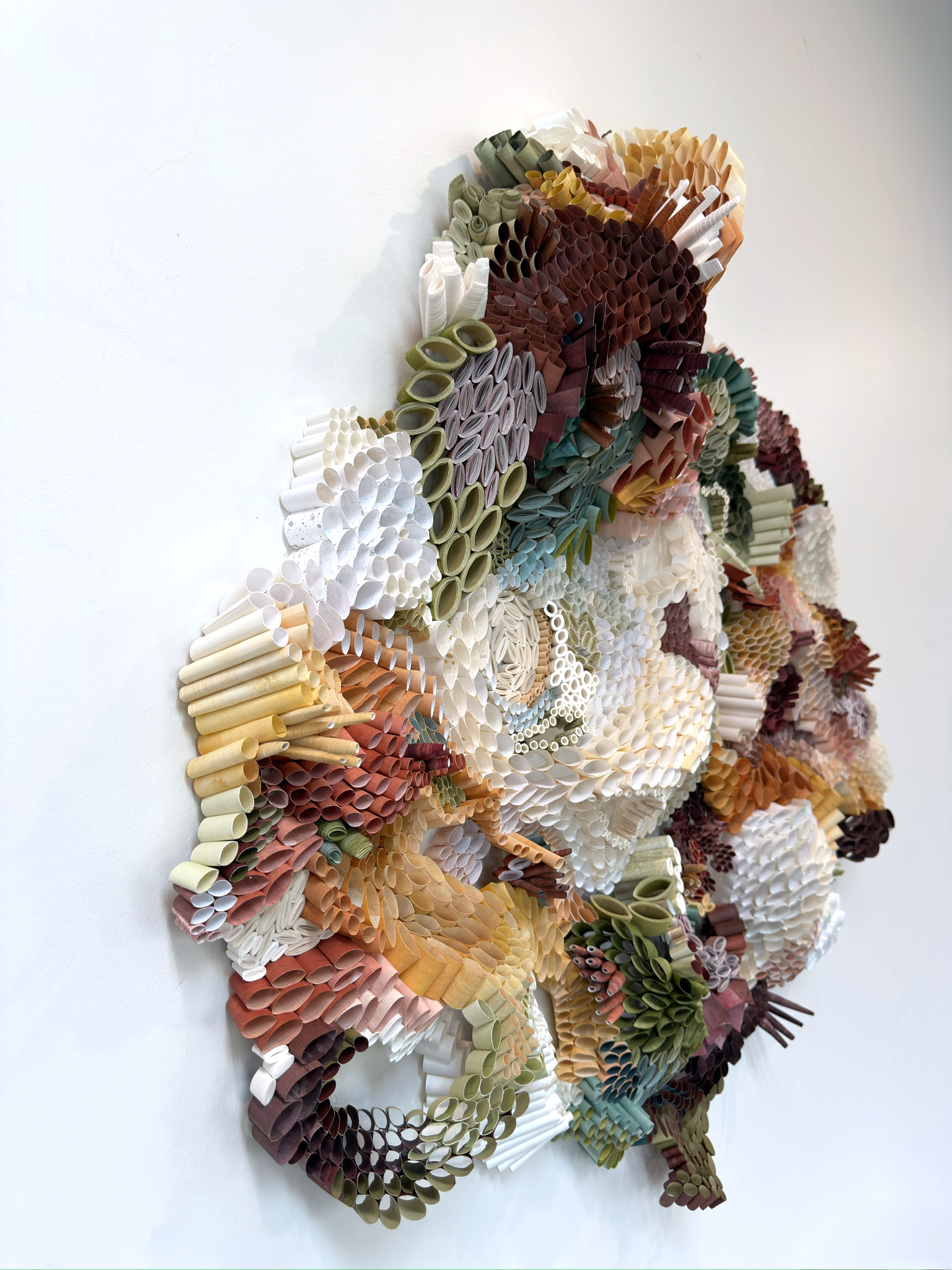 477529DC-71C2-498E-913E-198EAB9F9727_1_102_o copy.png