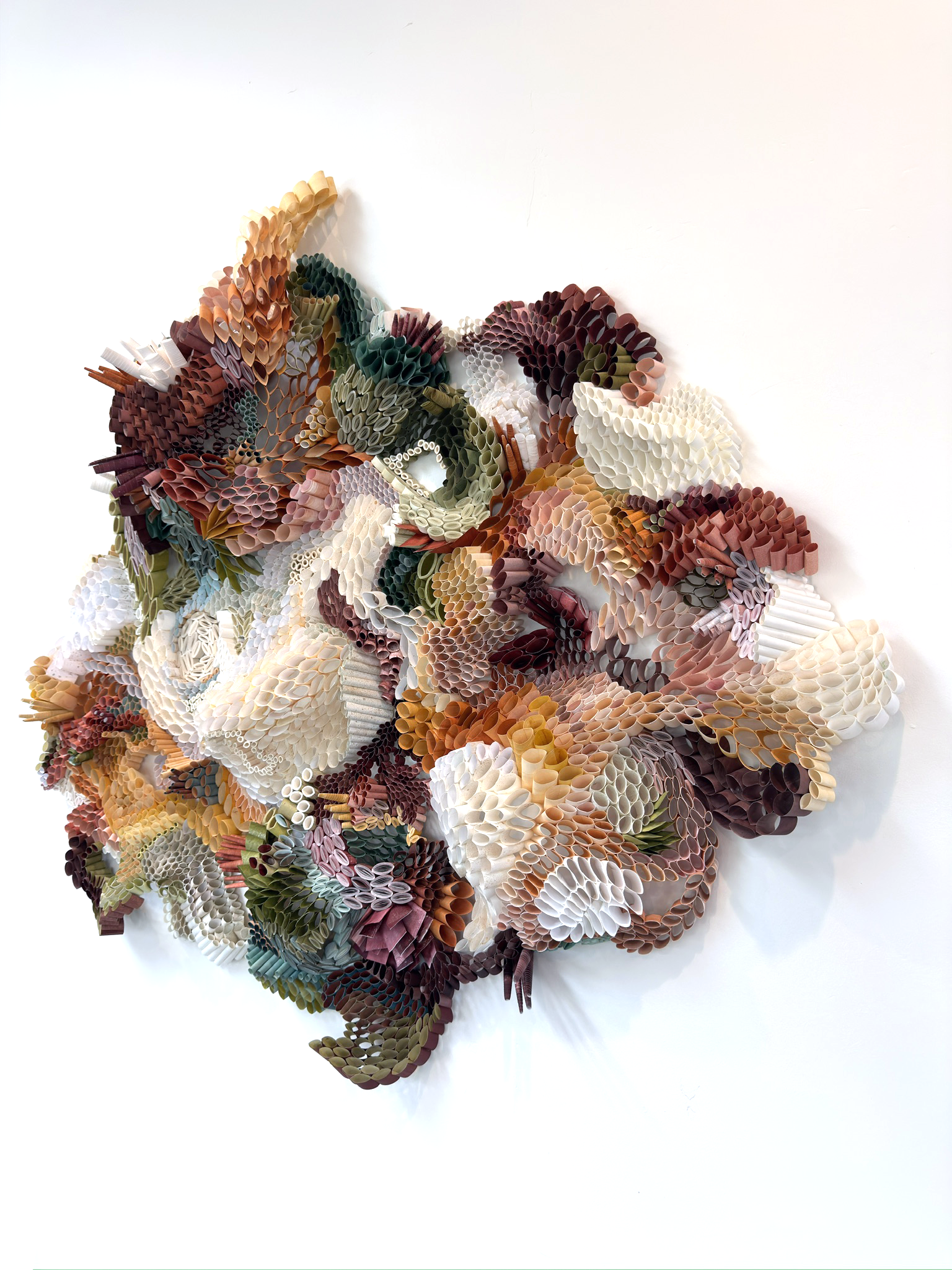 D66FDFD3-FA3E-4693-9B68-88A3D030B33A_1_102_o copy.png