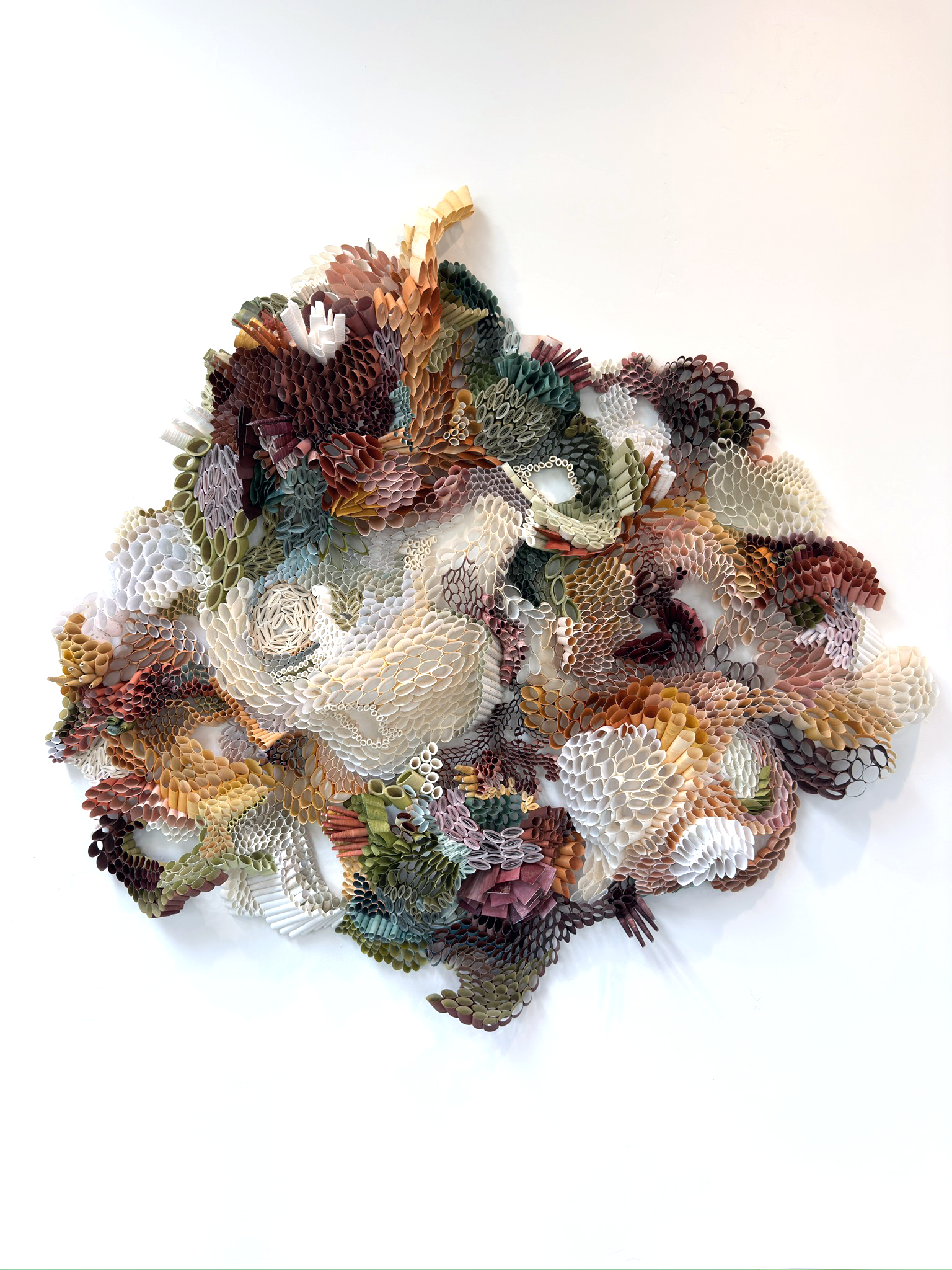 E05A1B4E-B89F-4197-8916-9DFFD9BCE34E_1_102_o copy.png