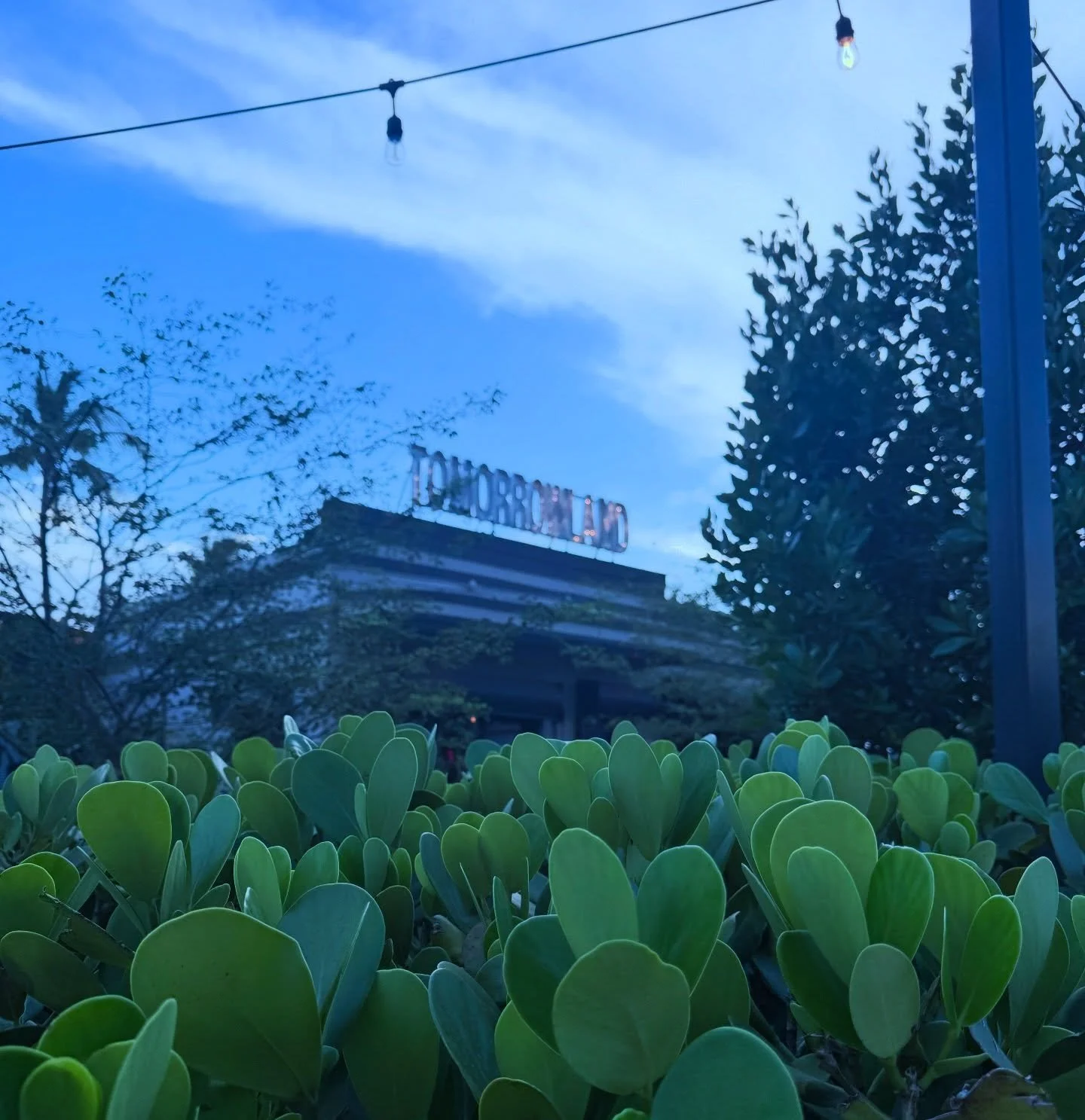 Can we talk about this weather???!!!! HipHop &amp; R&amp;B on the patio starting at 6pm. Playoffs @ the bar 🏀 Sunday Happy Hour 5-8. Doesn&rsquo;t get any better than that! 

Catch you at the curb!