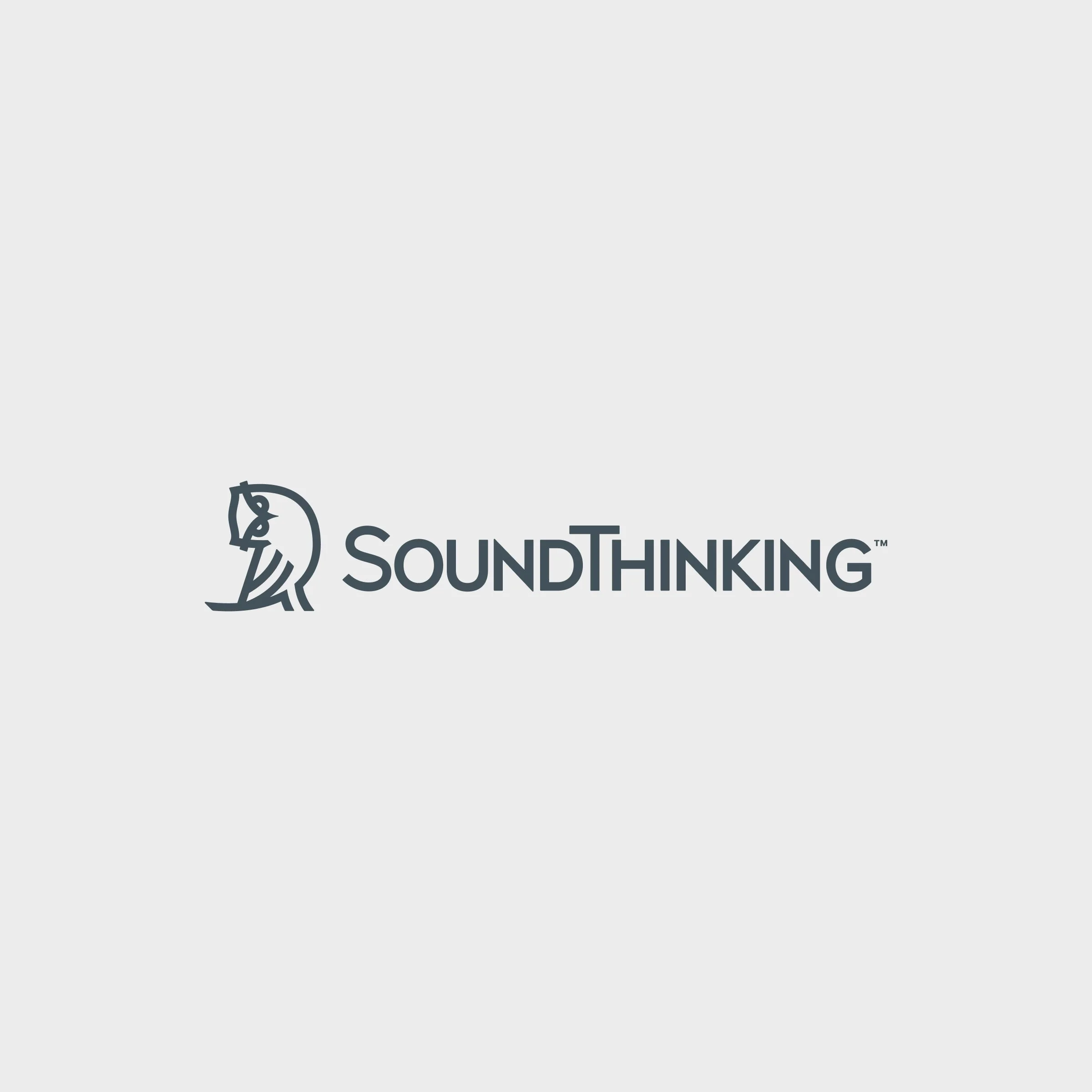 SOUNDTHINKING (NYSE: SSTI) - Increased Search Engine Result Page (SERP) features by 524% YOY in 2025