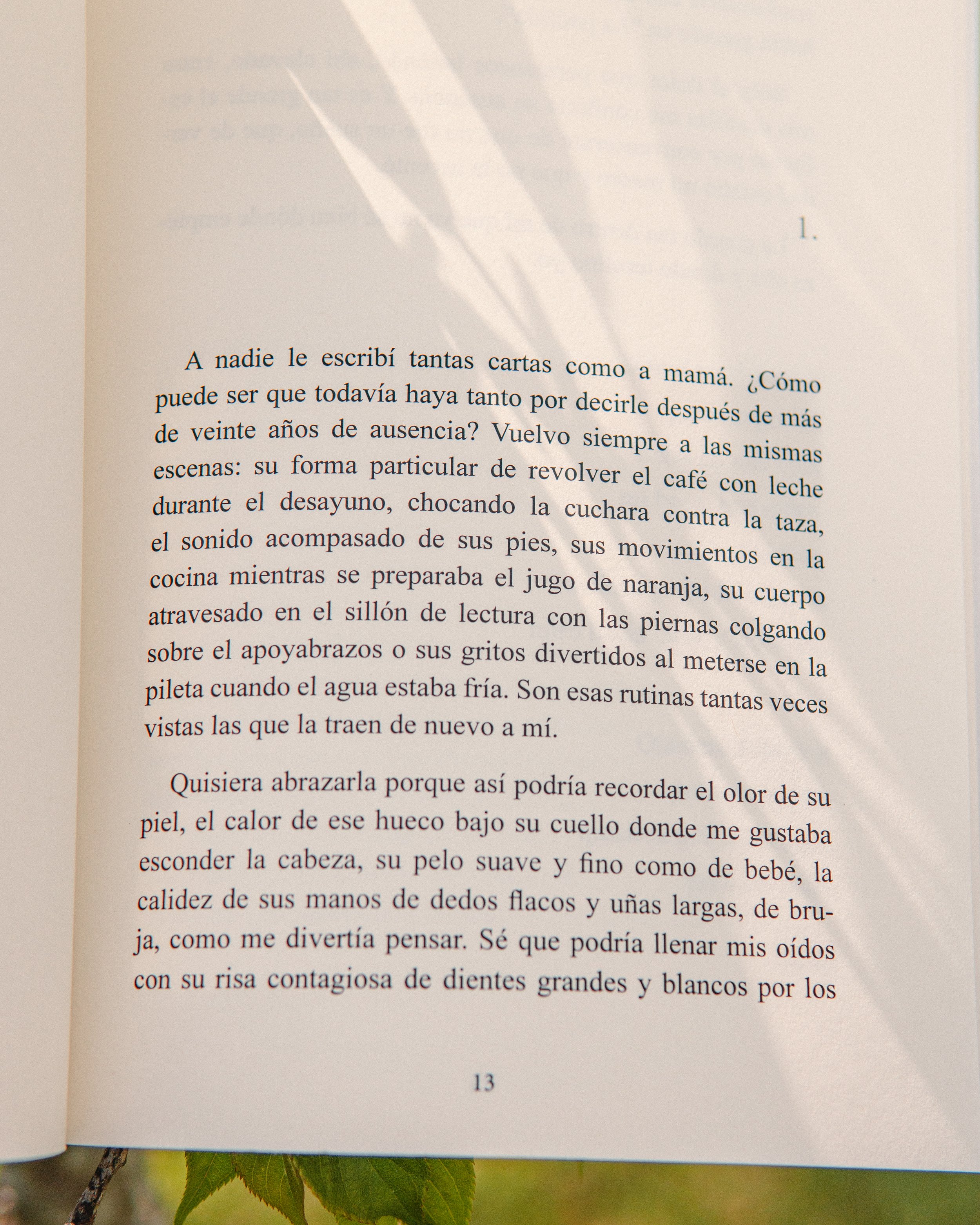 _PHV9124.jpg