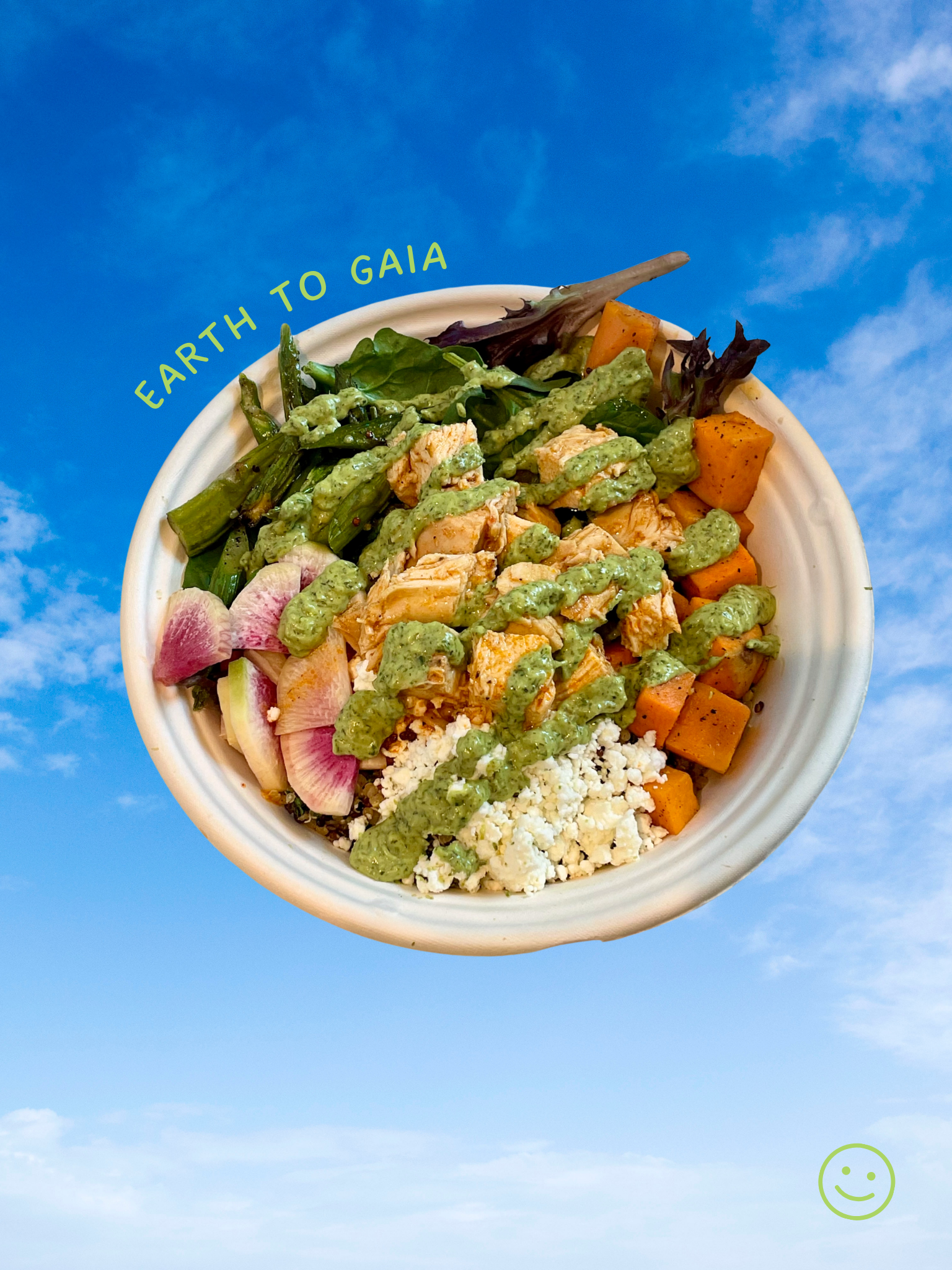 EARTH TO GAIA INSTA.png