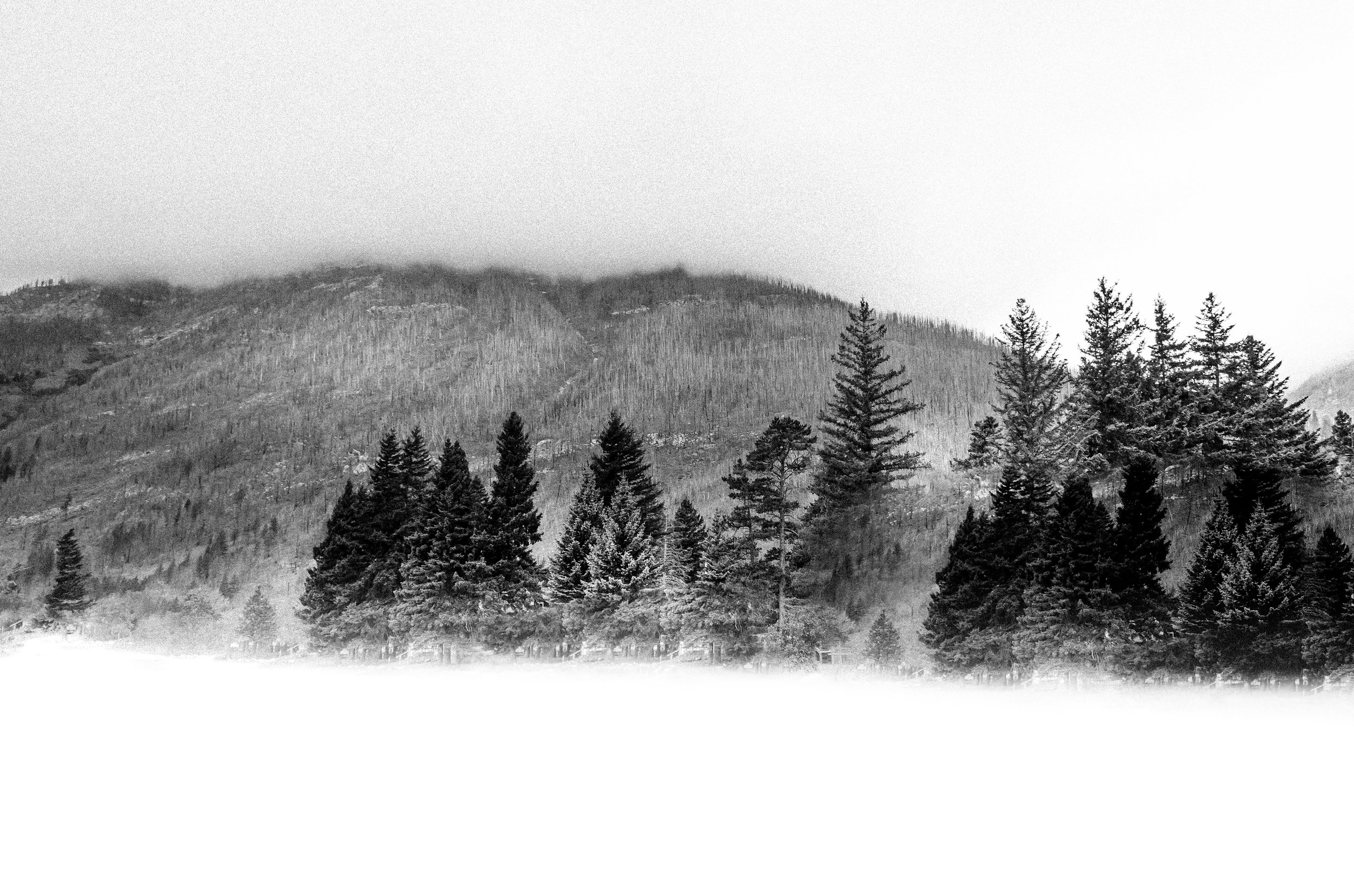 DSC_0550-2.jpg