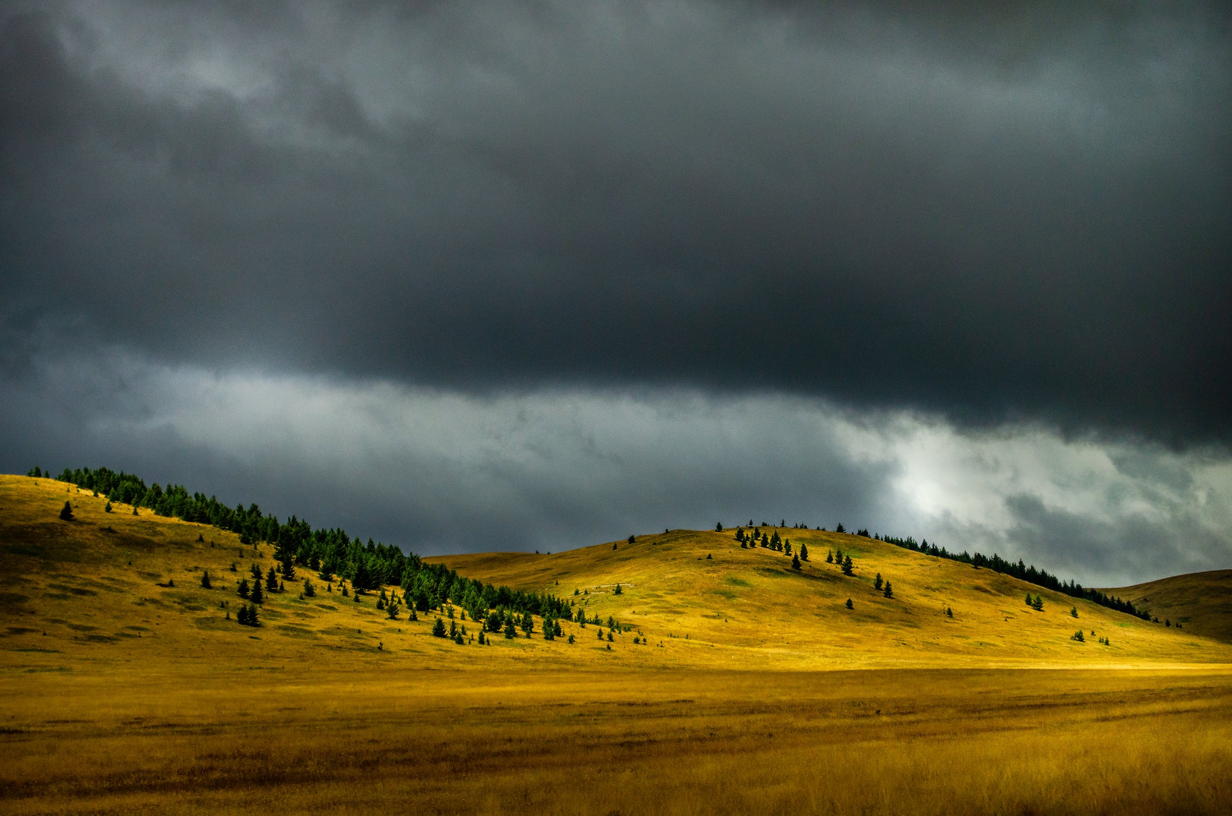 DSC_1017.jpg