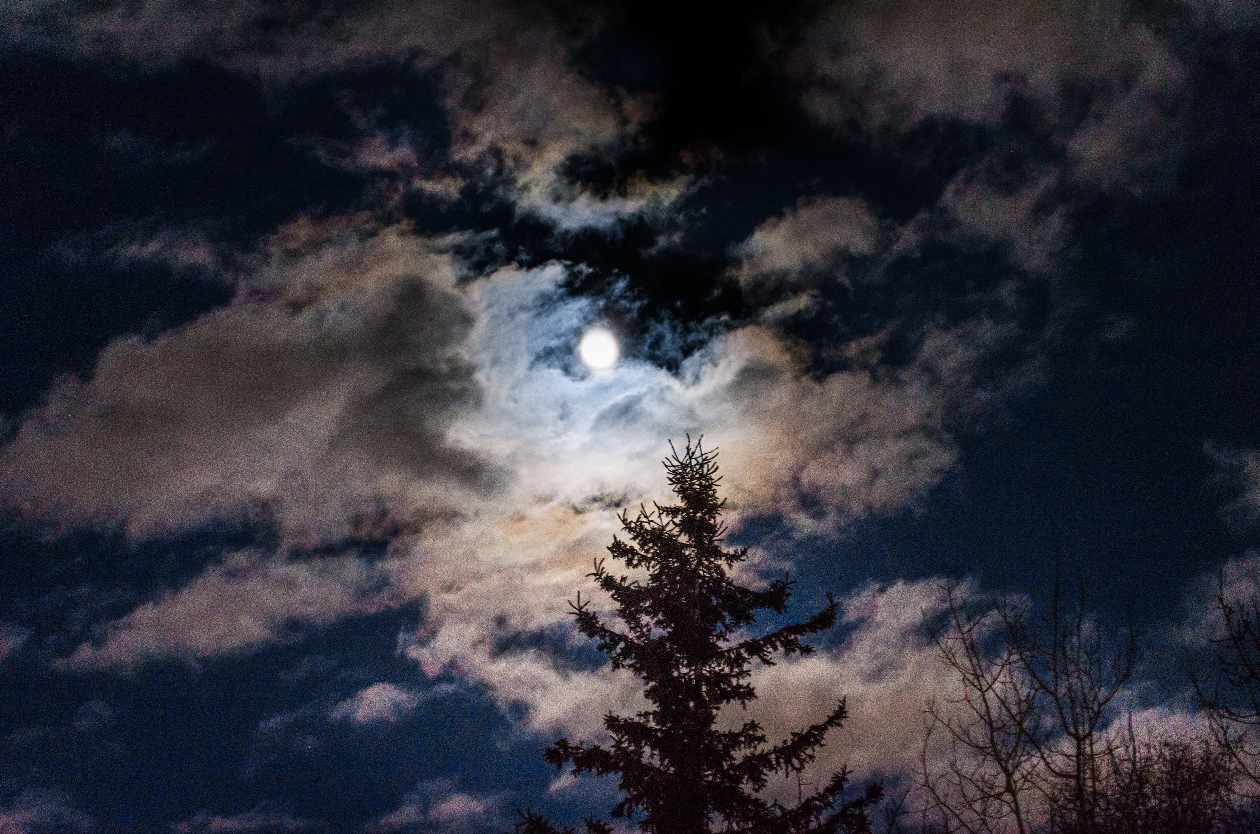 DSC_1306.jpg