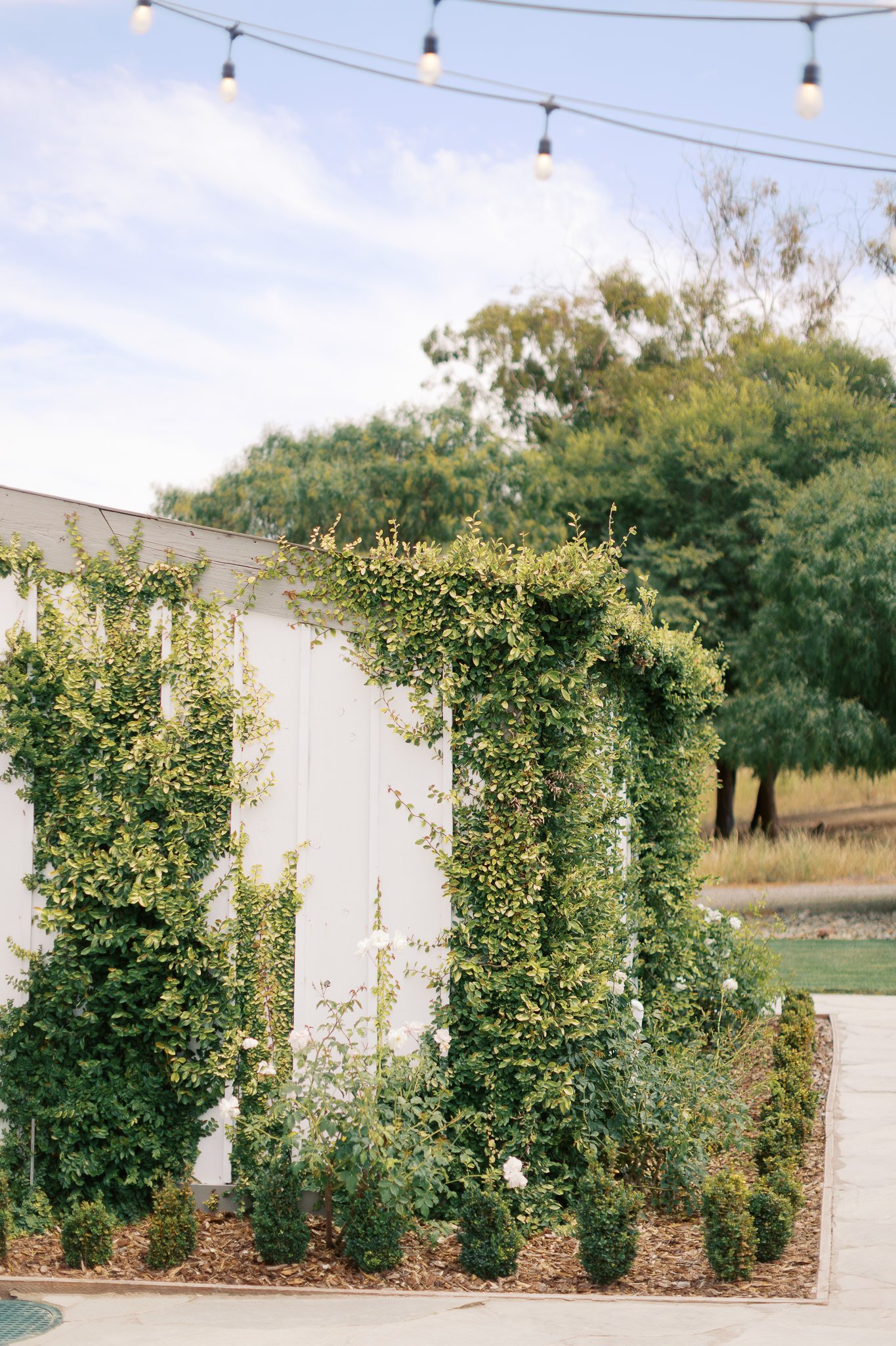 DahmerWedding-sneaks-ChloePhotography-2025-0009.jpg