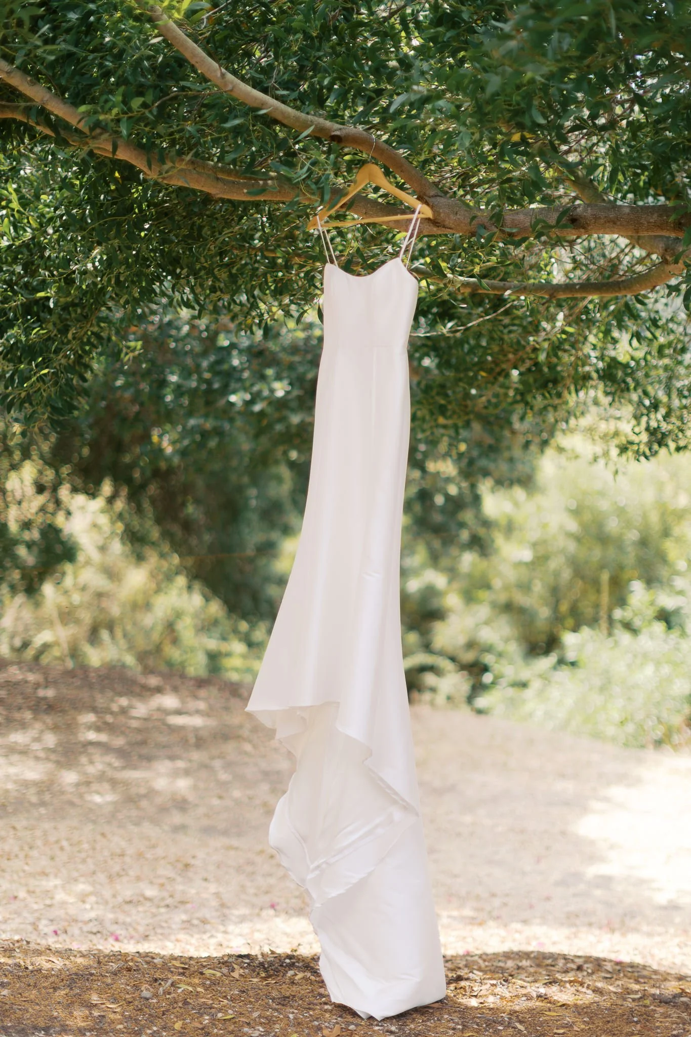 DahmerWedding-sneaks-ChloePhotography-2025-0013.jpg