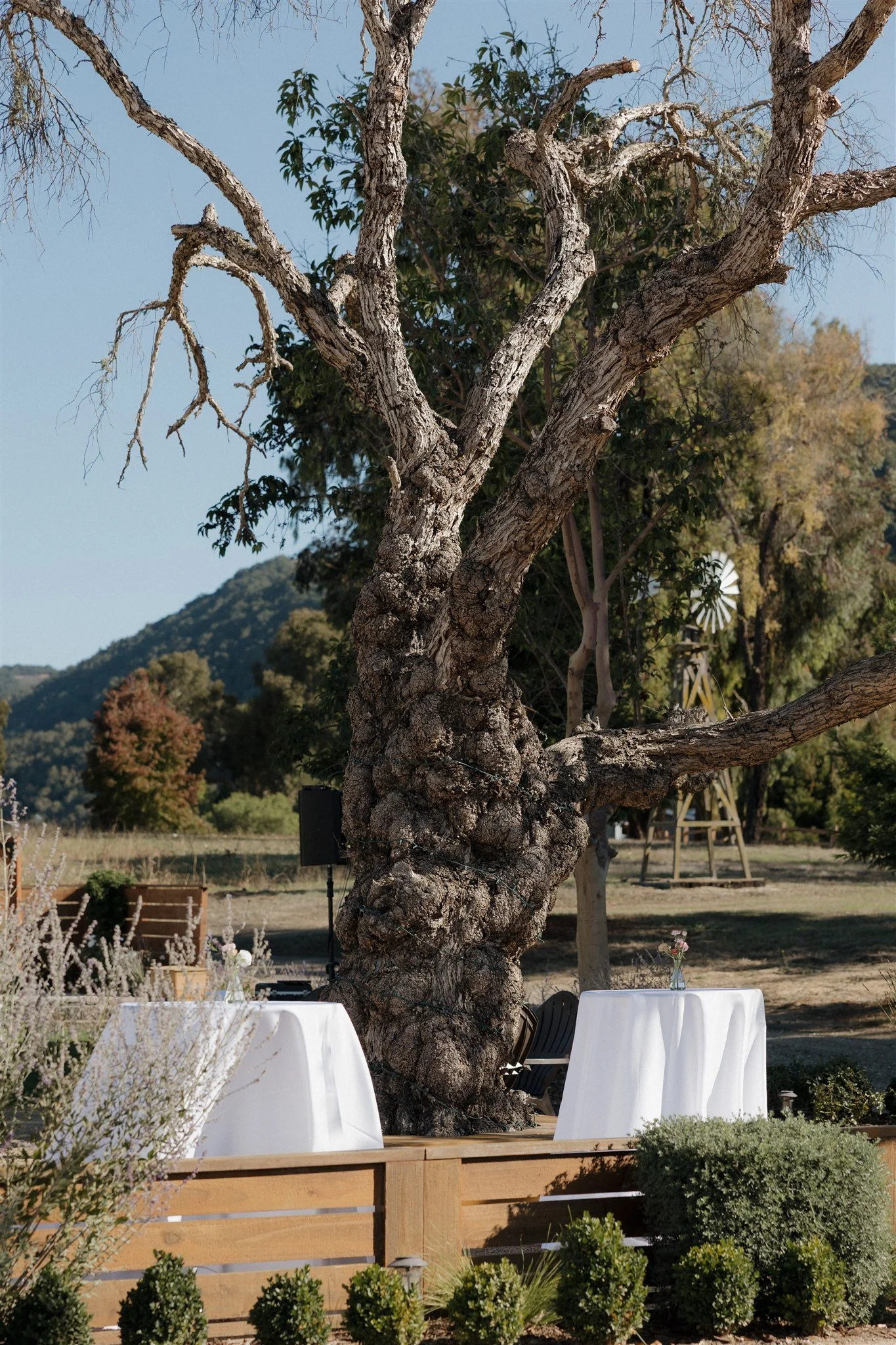 TarCreekRanchWedding-N&A-Highlight-165.jpg