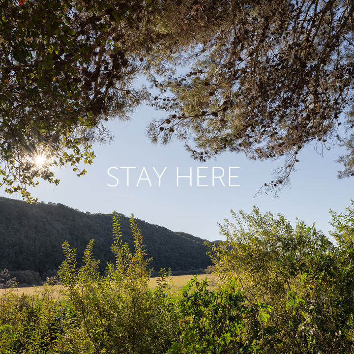 Photography by Chris Tack 