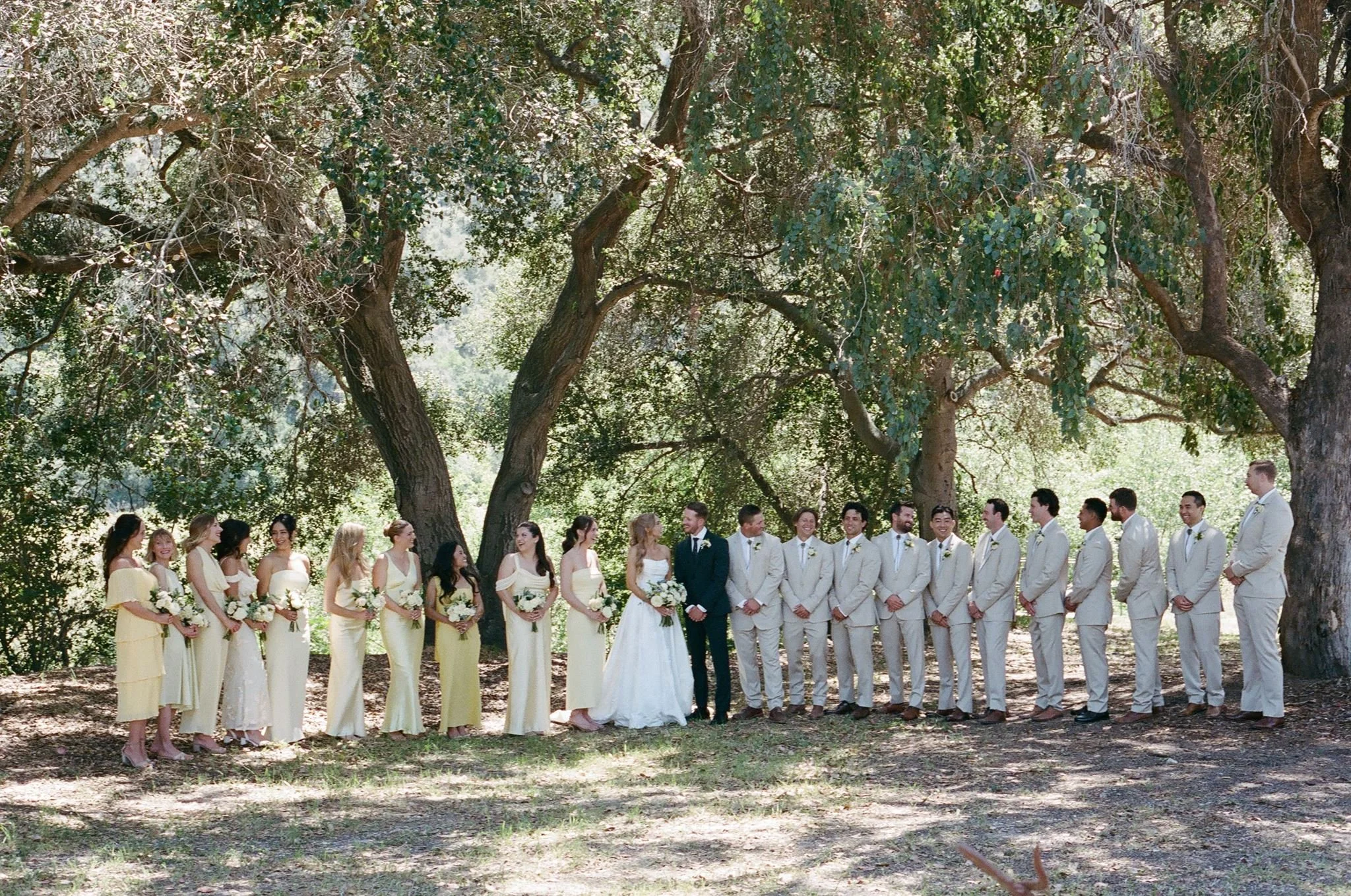 Wedding party in butter yellow and khaki beneath oak trees at Tar Creek Ranch