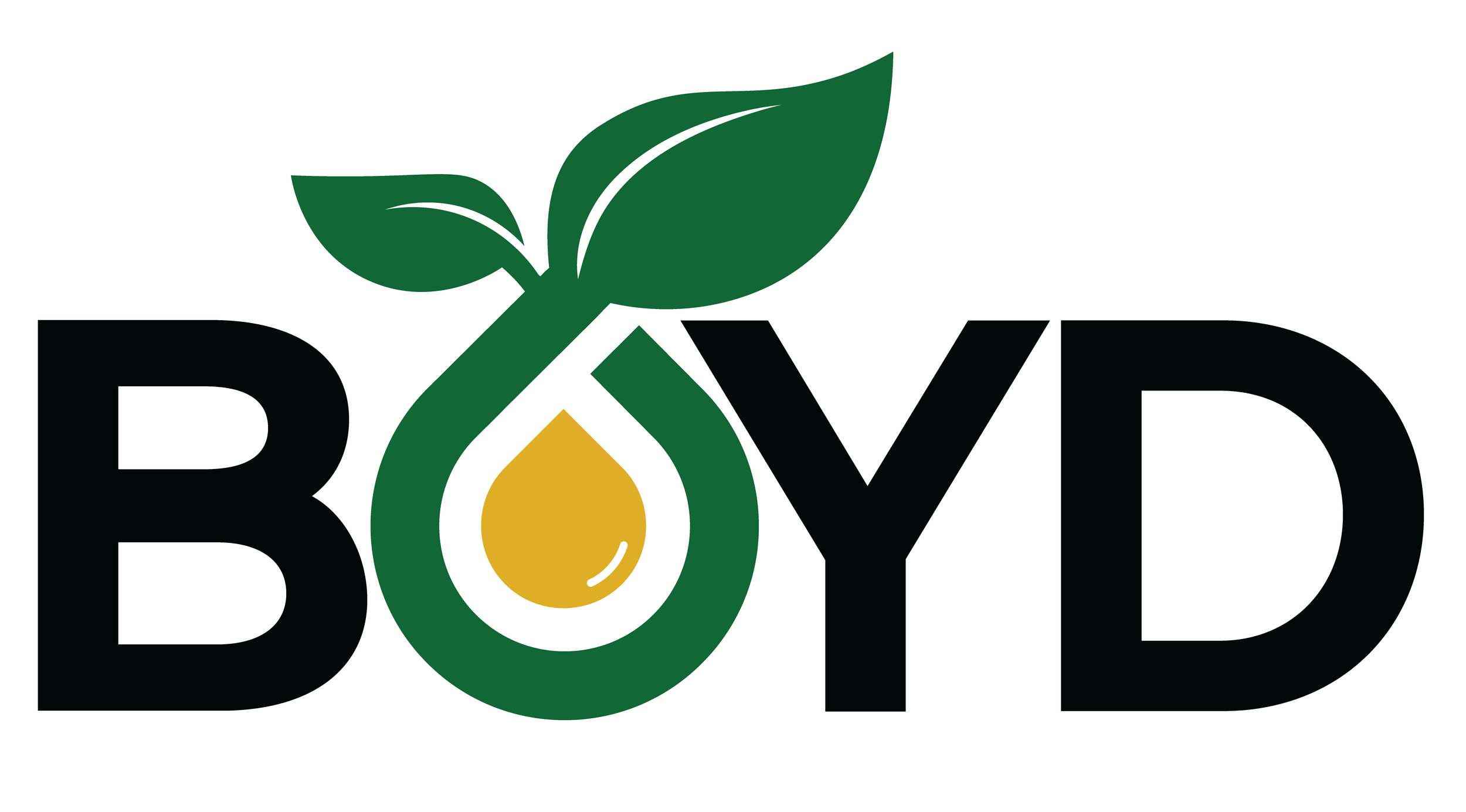 Boyd Logo Final.png