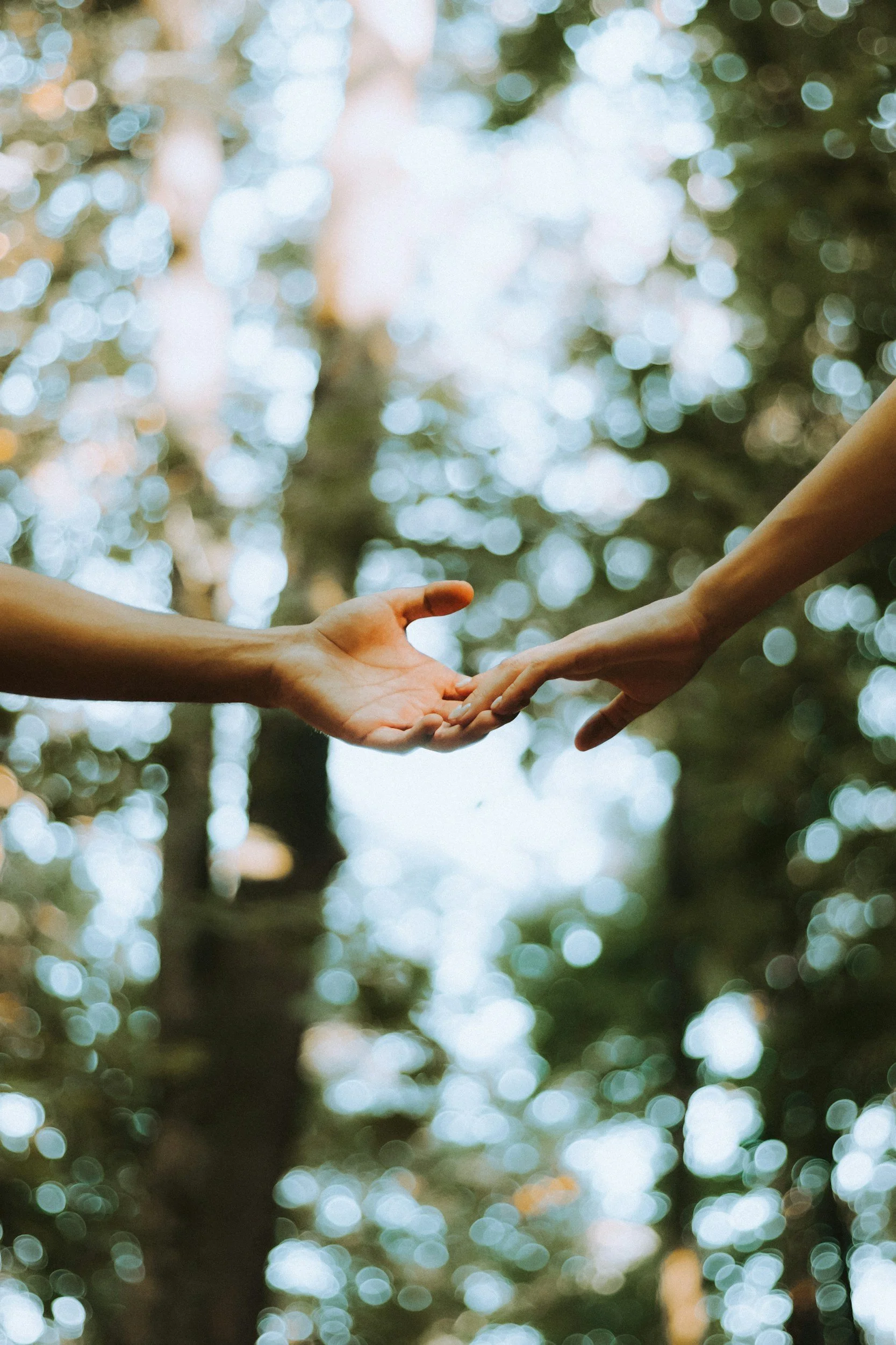 Two people reaching out to touch hands in a forest setting representing couples therapy in Durham, NC.