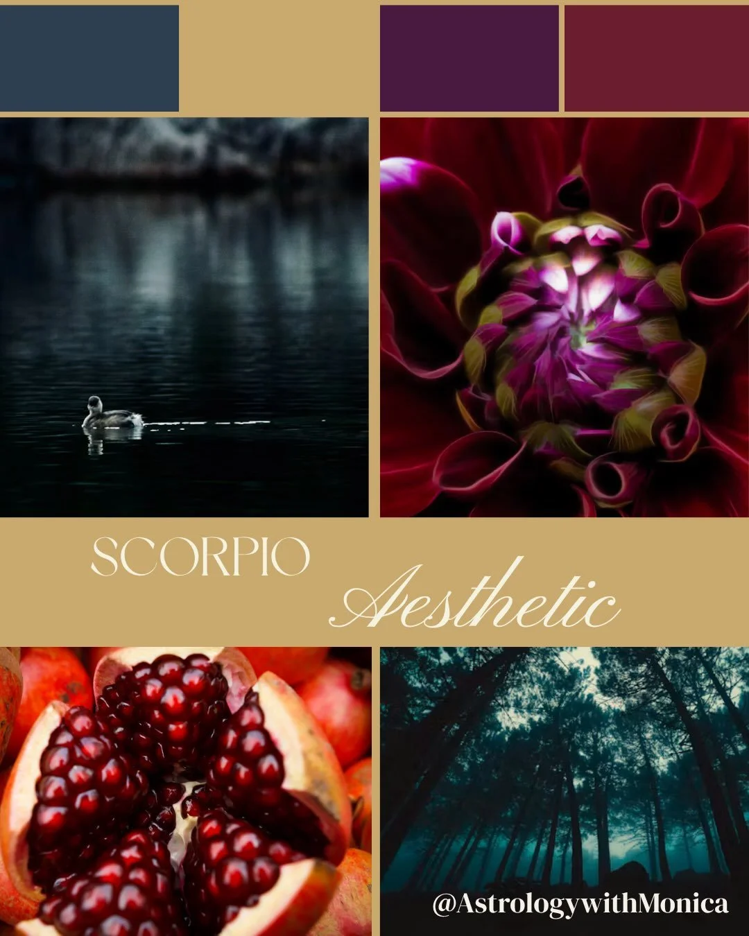 Scorpio Season started on October 23rd and goes until November 21st. 

The energy of Scorpio Season  is intense, courageous, and fiercely loyal. 

Scorpio is fixed water sign and is ruled by Mars, the planet of action, drive, and desire. 

It&rsquo;s