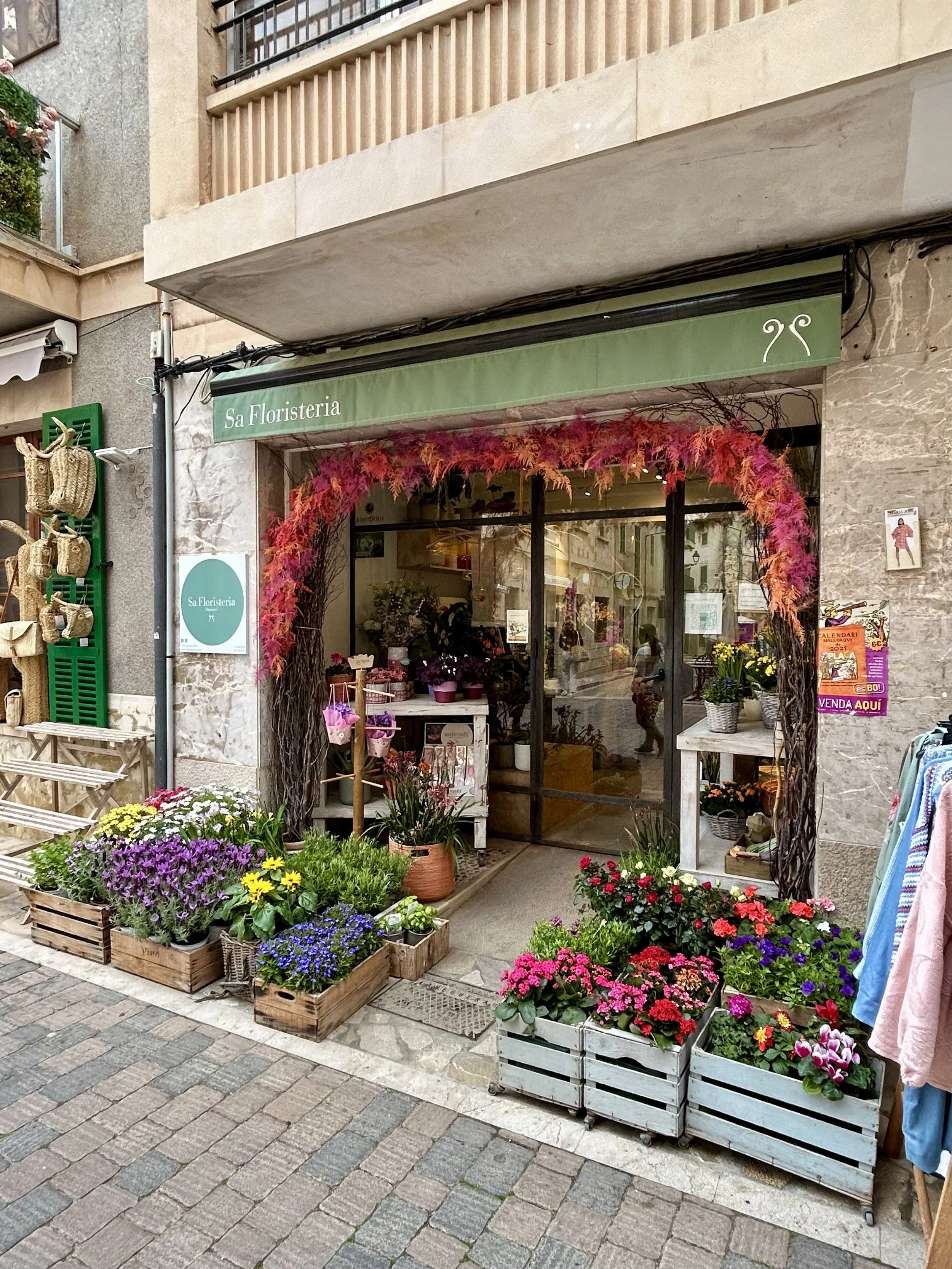 What a Morning in Mallorca Taught Me About Flow
