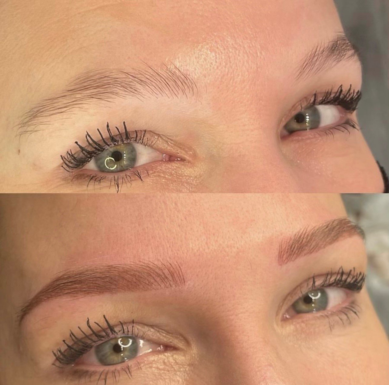 Combo-Brows.jpg
