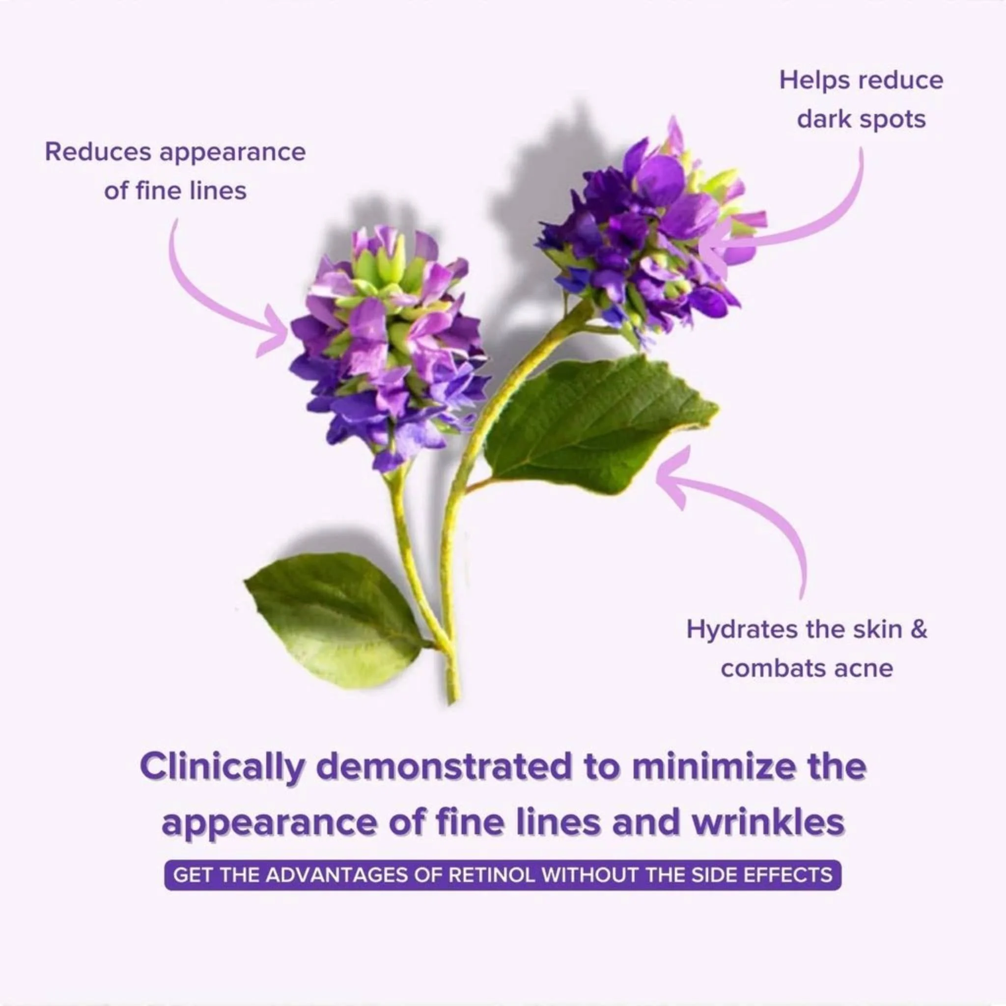 anti-aging-bakuchiol-eye-serum-retinol-alternative-300805.jpg