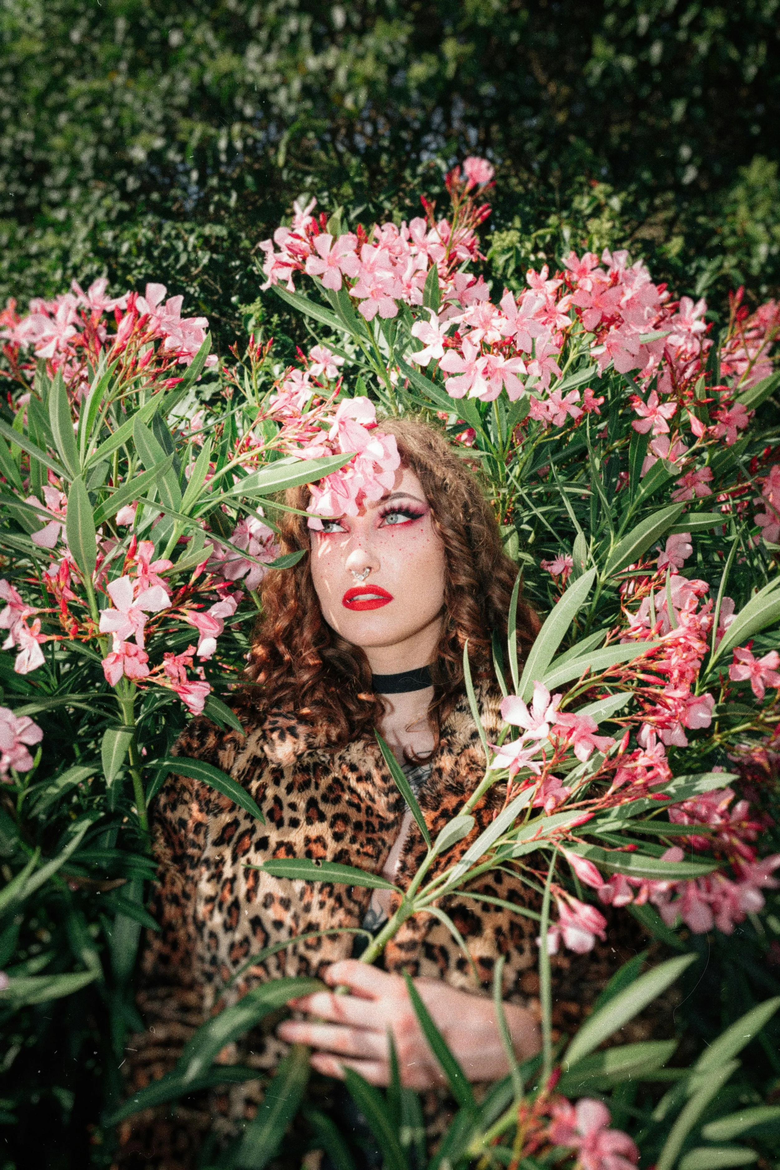 A woman with curly brown hair, makeup, and red lipstick is partially hidden among pink flowers and green foliage, wearing a leopard print top.