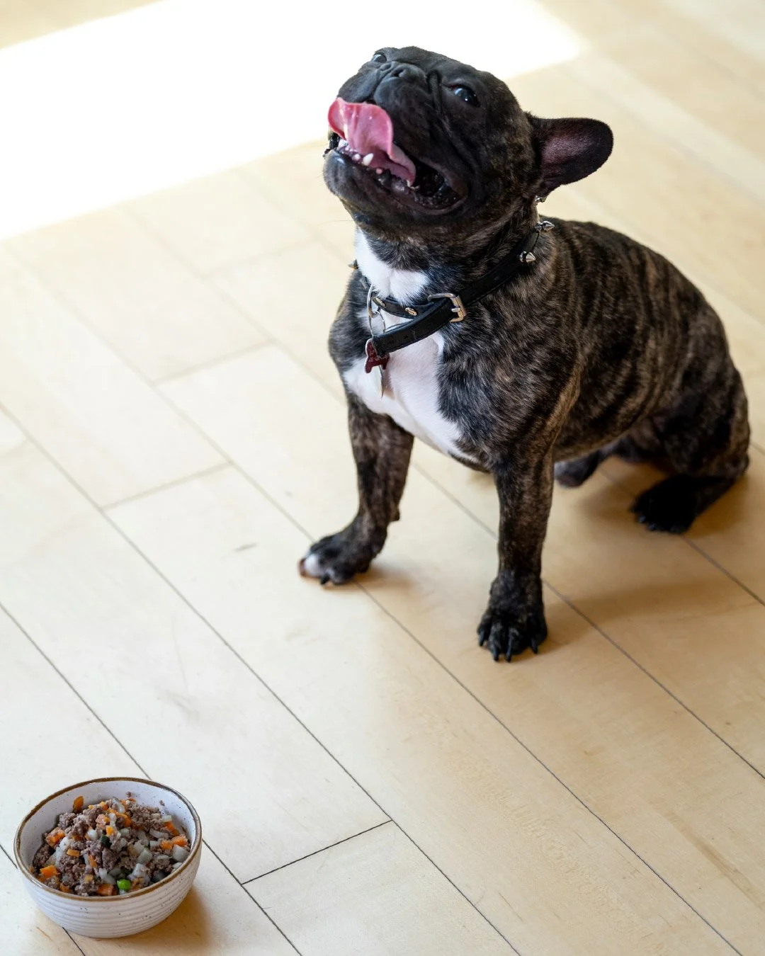 Your furry friends deserve the best. 🐾 Did you know most store-bought treats are loaded with fillers?

With a unit from freezedryersuk.com, you can make 100% raw, single-ingredient liver, chicken, or salmon treats at home for a fraction of the price