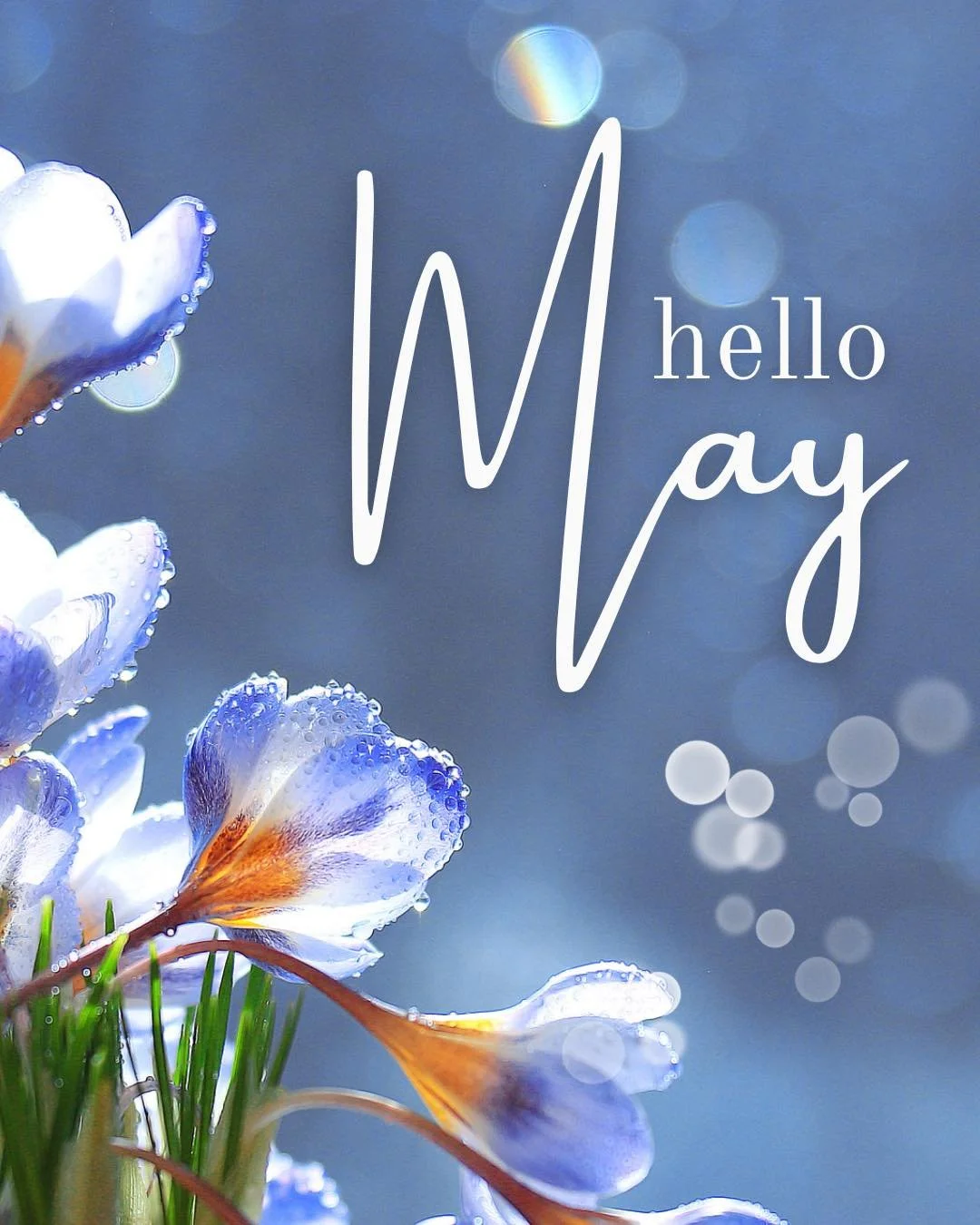 Hello, May!
