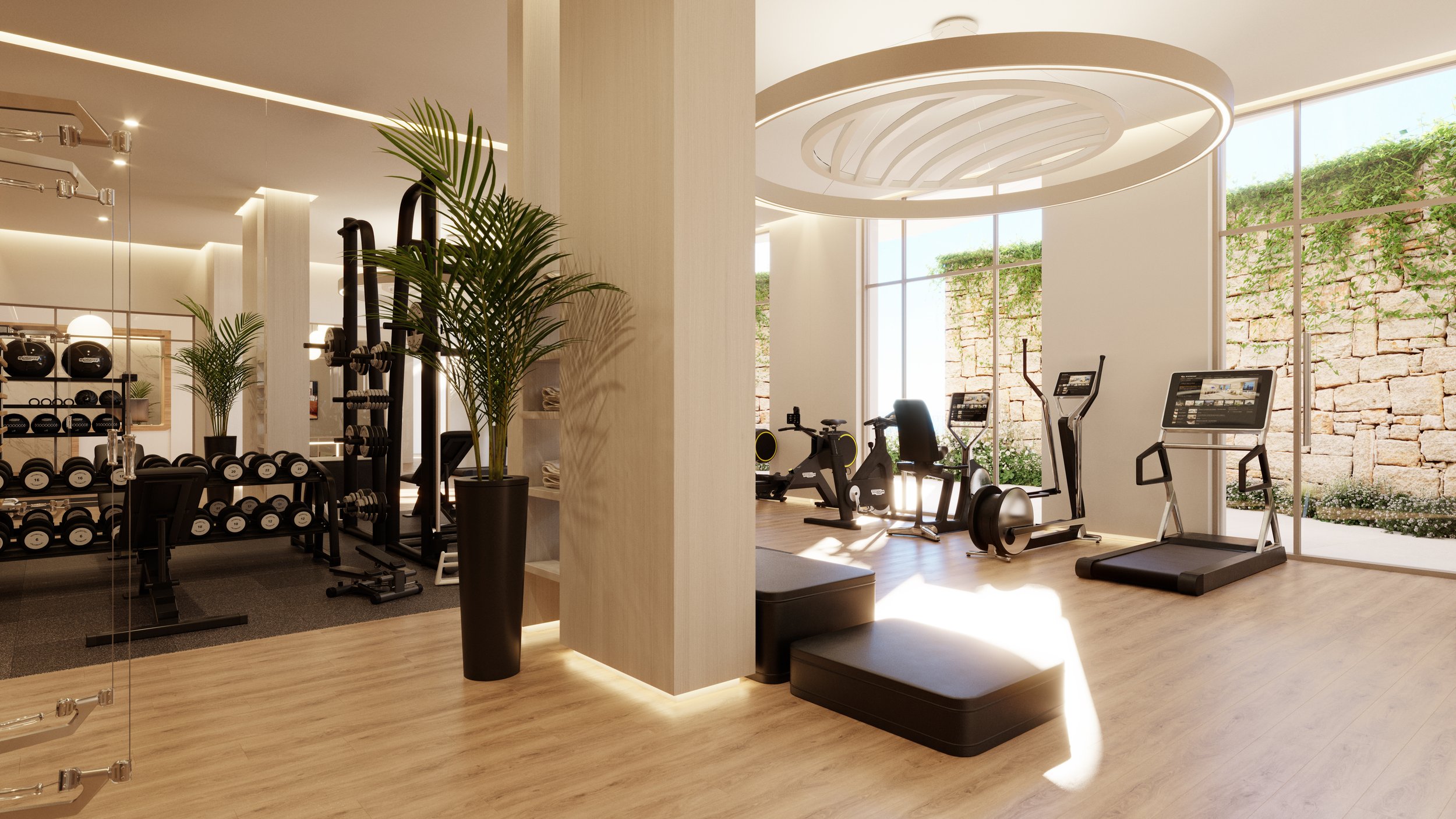 Gym (3).jpg