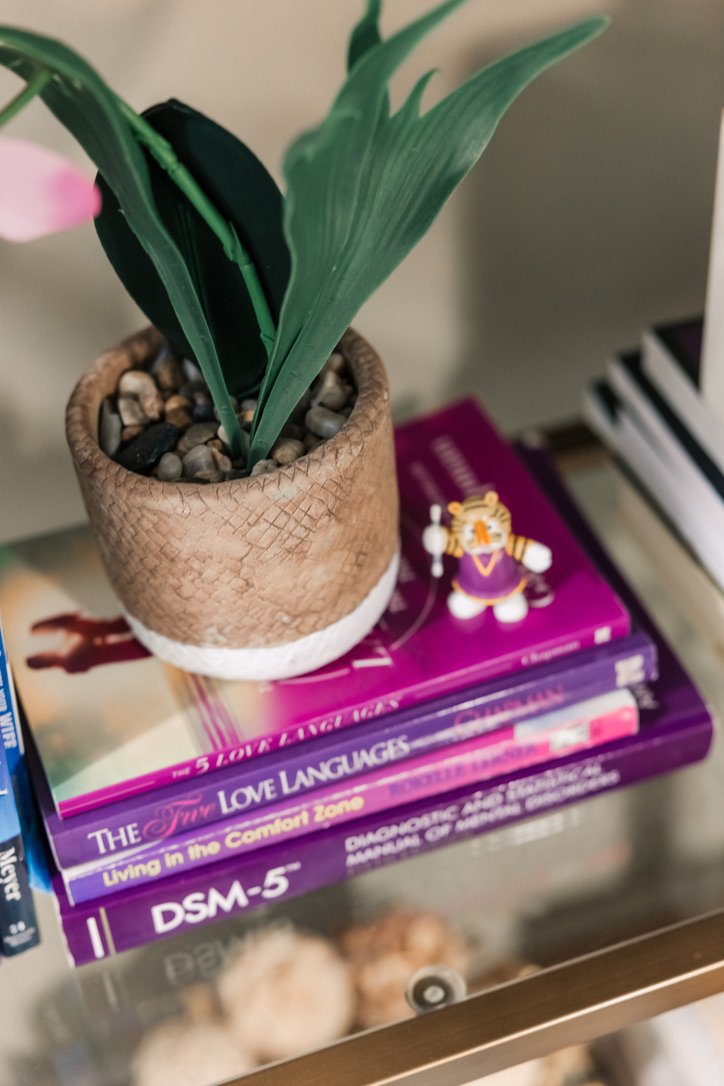 A small potted plant with green leaves sits on top of purple books and a pink book. A small decorative tiger figurine holding a staff is placed near the plant.