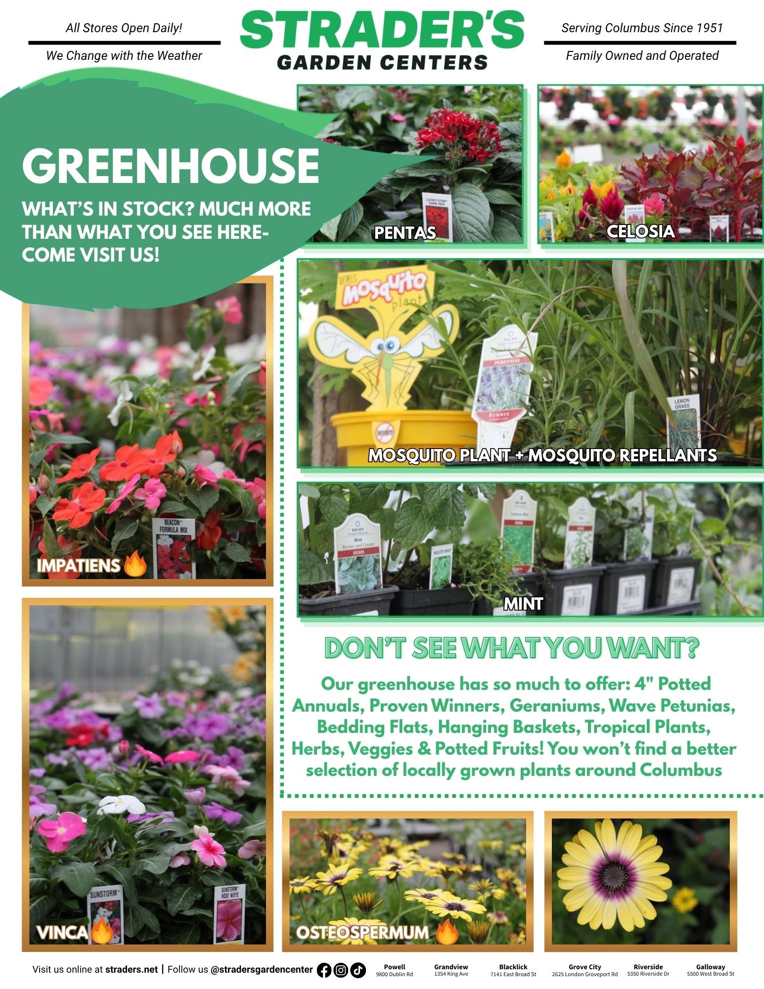 Greenhouse.jpg
