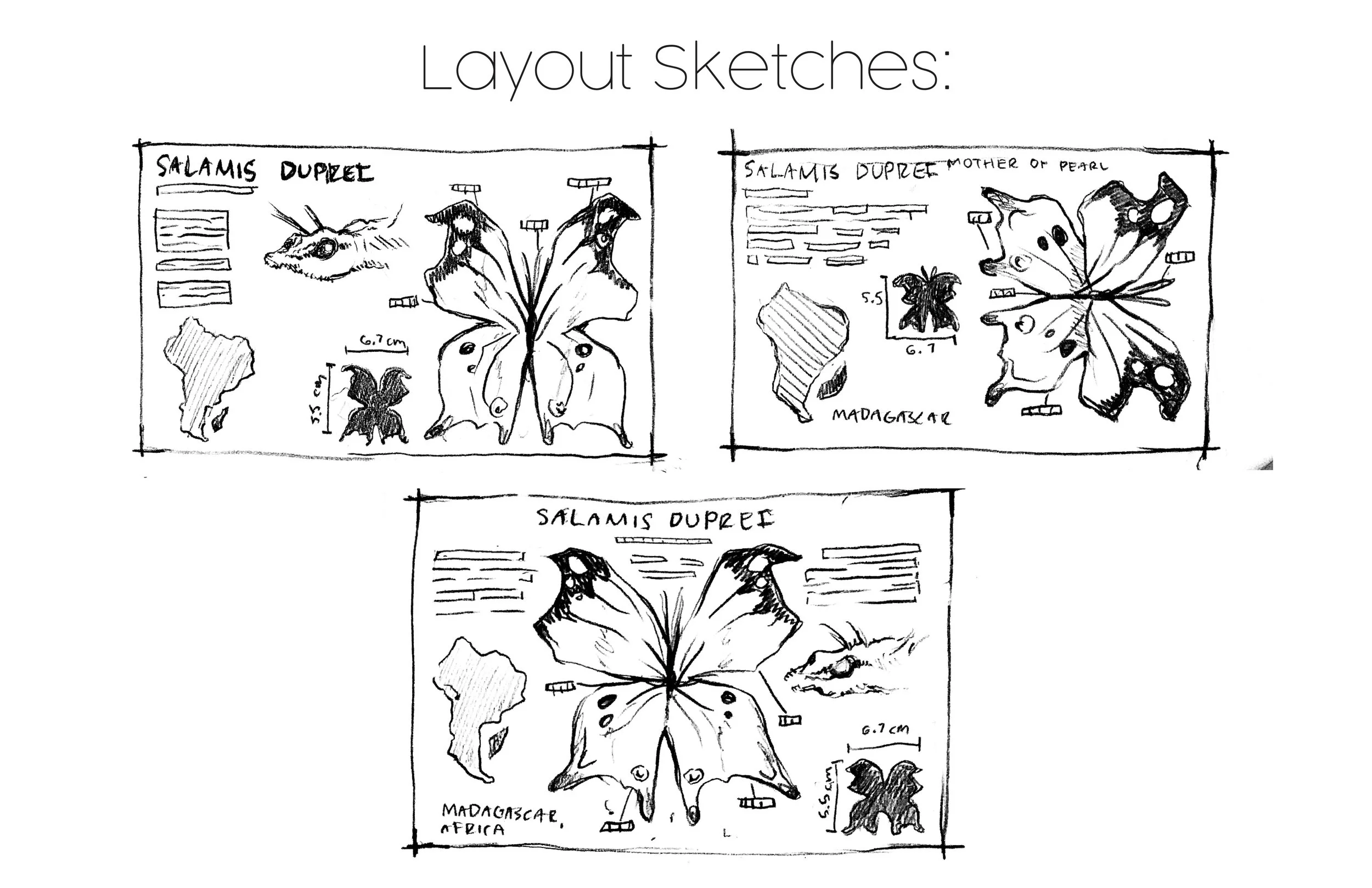 Hillarie_Mattox_Research_Layout_Sketches3.jpg