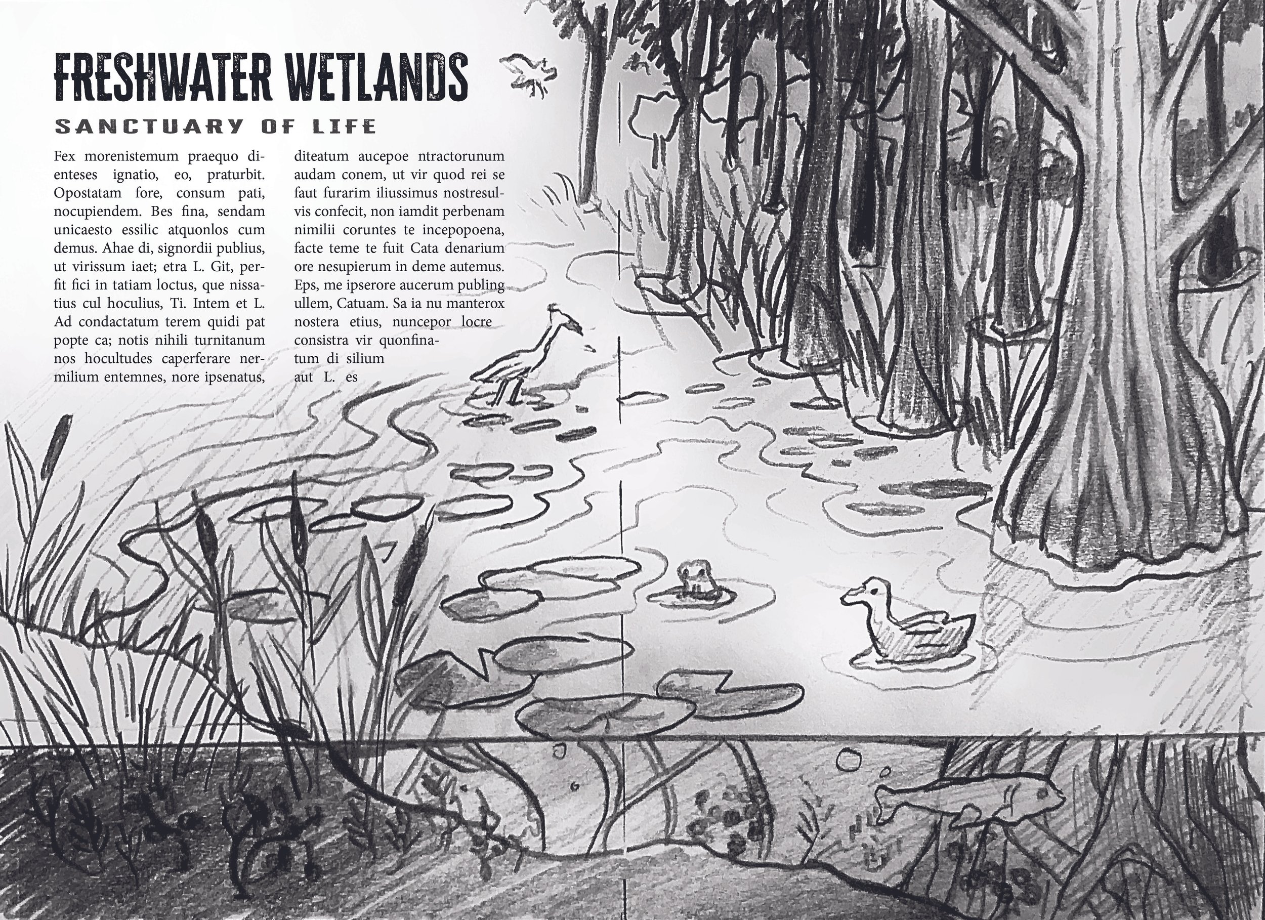 Hillarie_Mattox_Rough_Sketches_Layout&Type2.jpg