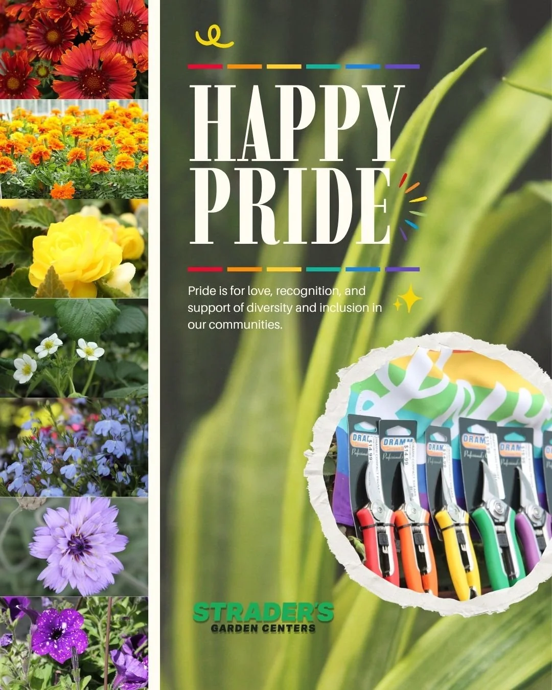 Happy Pride Month.jpg