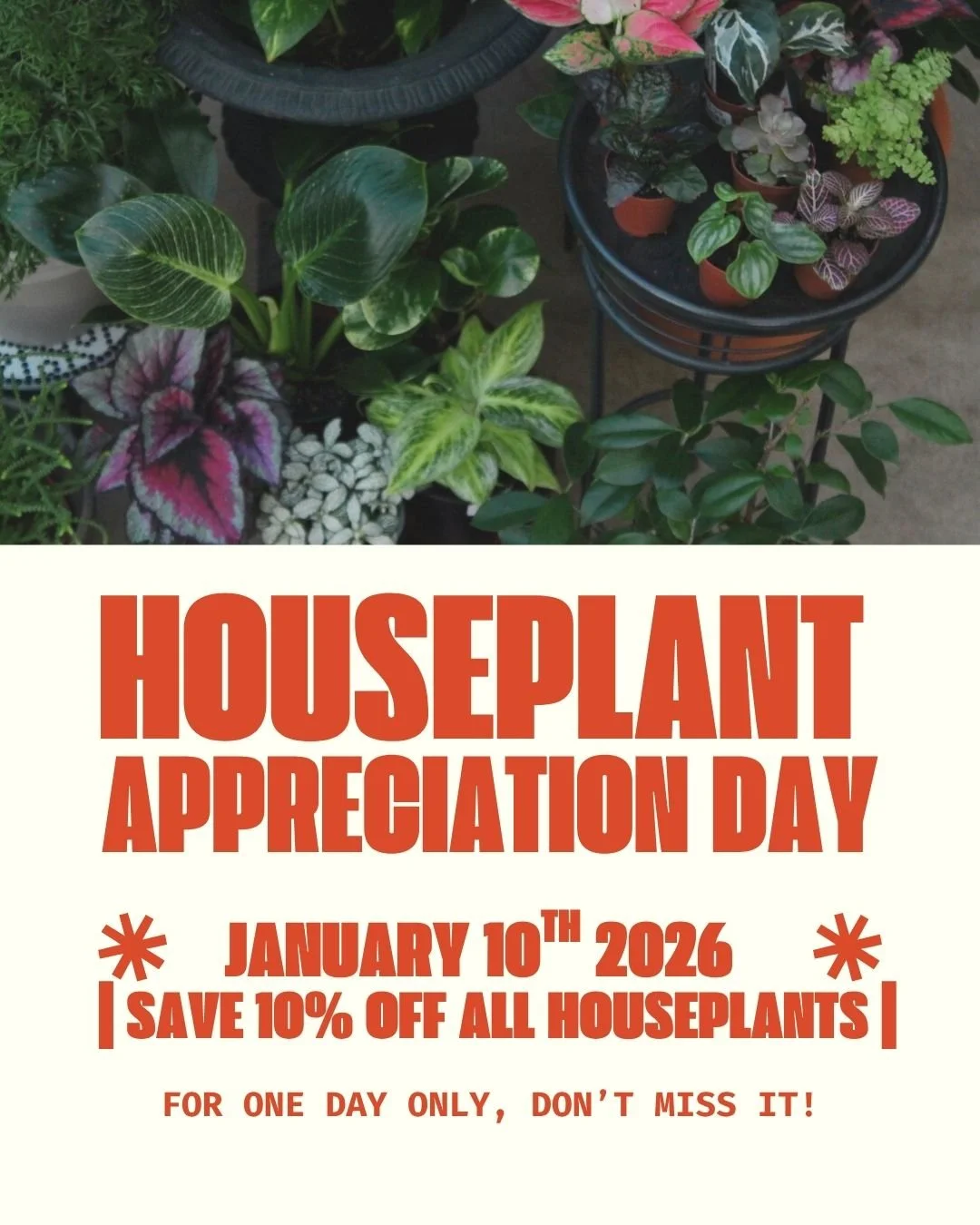houseplant appreciation day.jpg