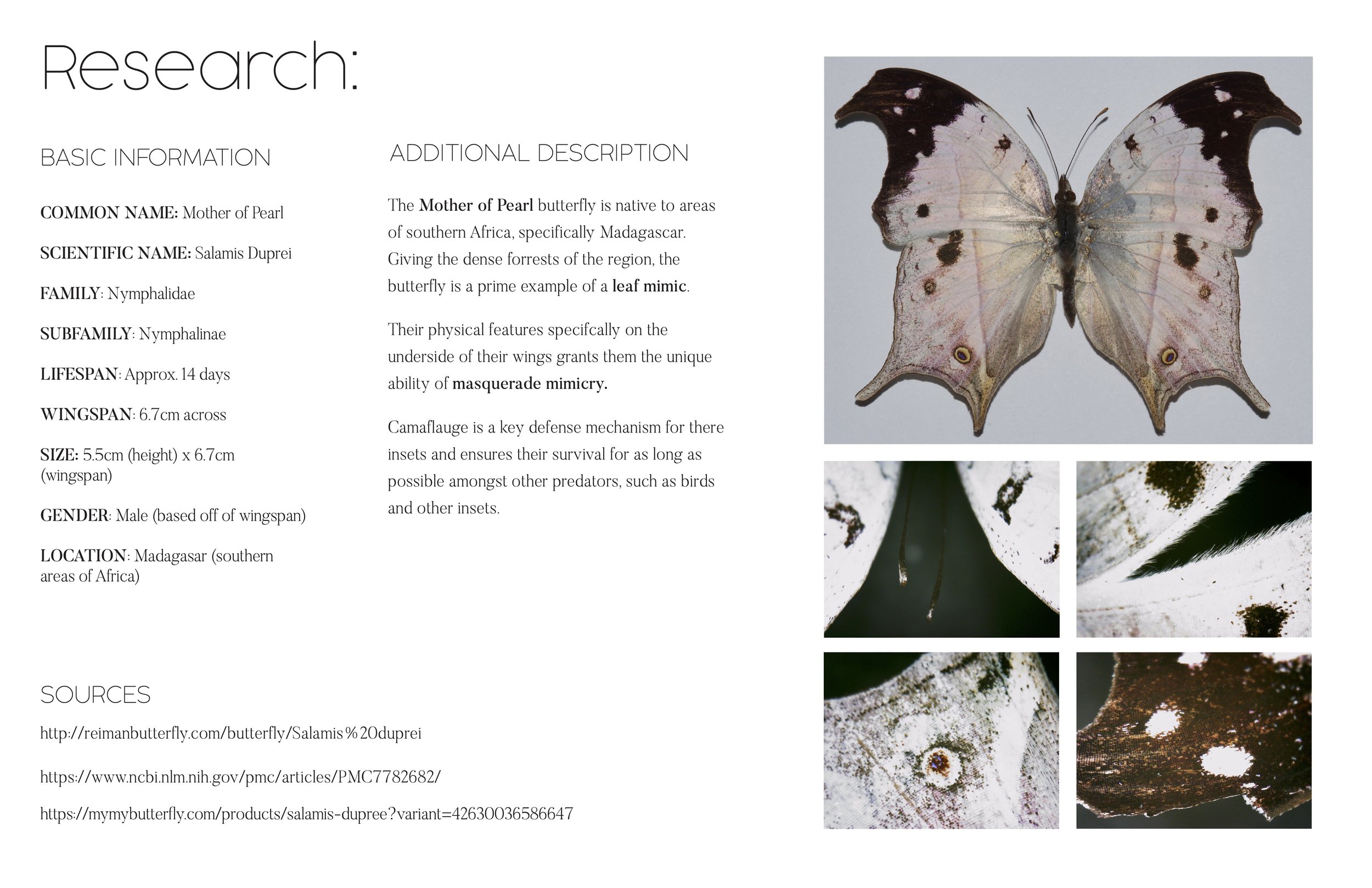 Hillarie_Mattox_Research_Layout_Sketches.jpg